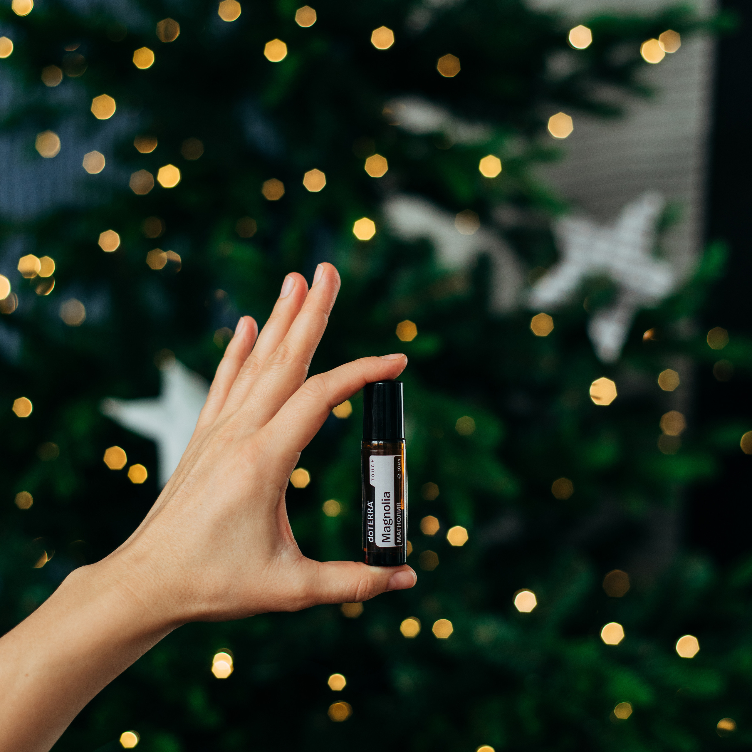 Контент-съёмки. Семейный фотограф в Омске Смирнова Светлана