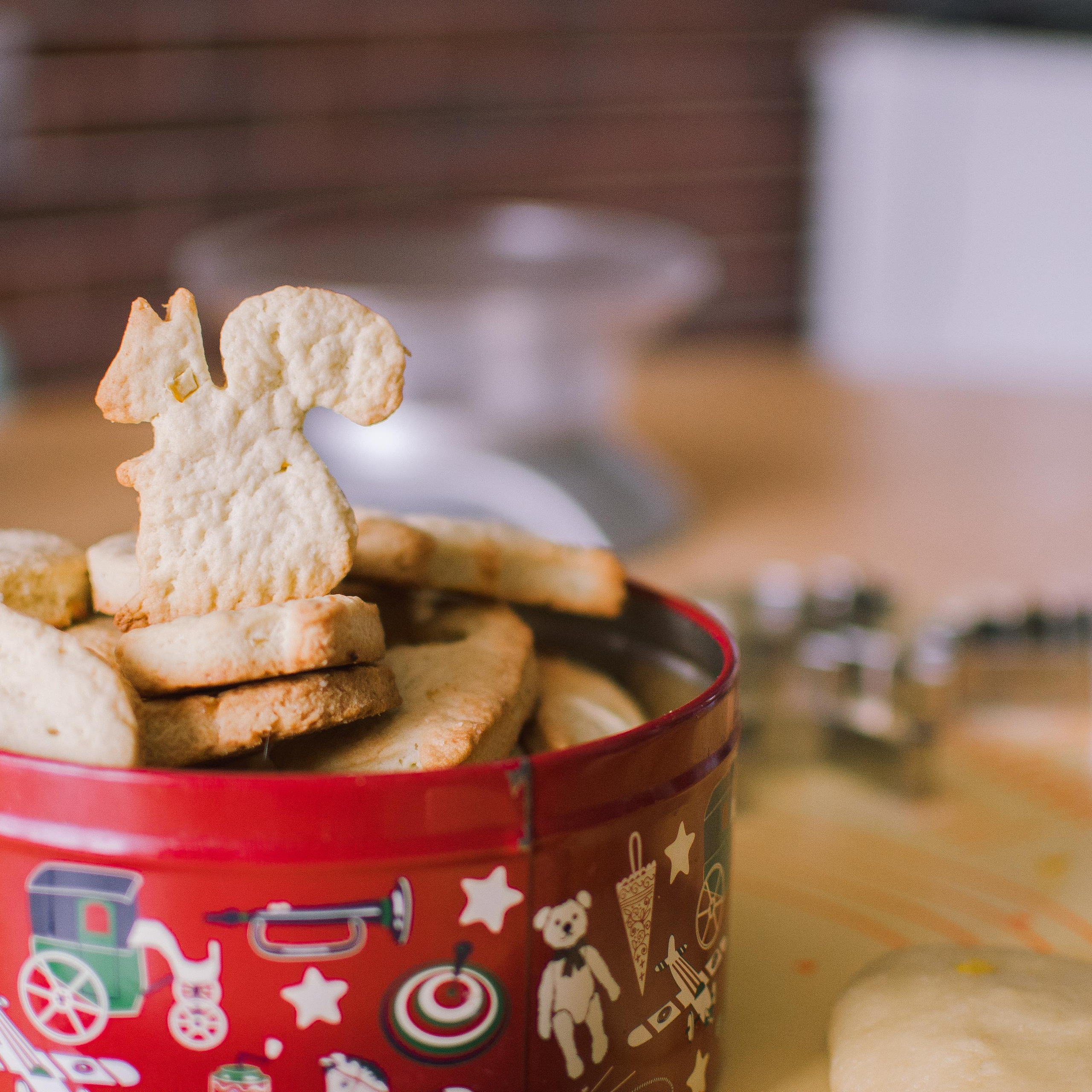 Аня и Нелли. Семейный фотограф в Омске Смирнова Светлана