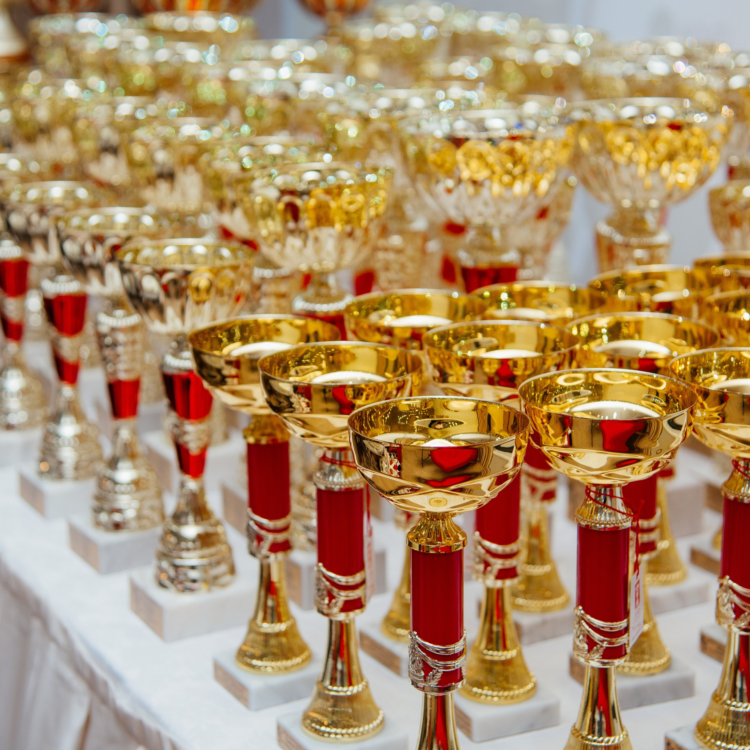 Отзывы. Семейный фотограф в Омске Смирнова Светлана