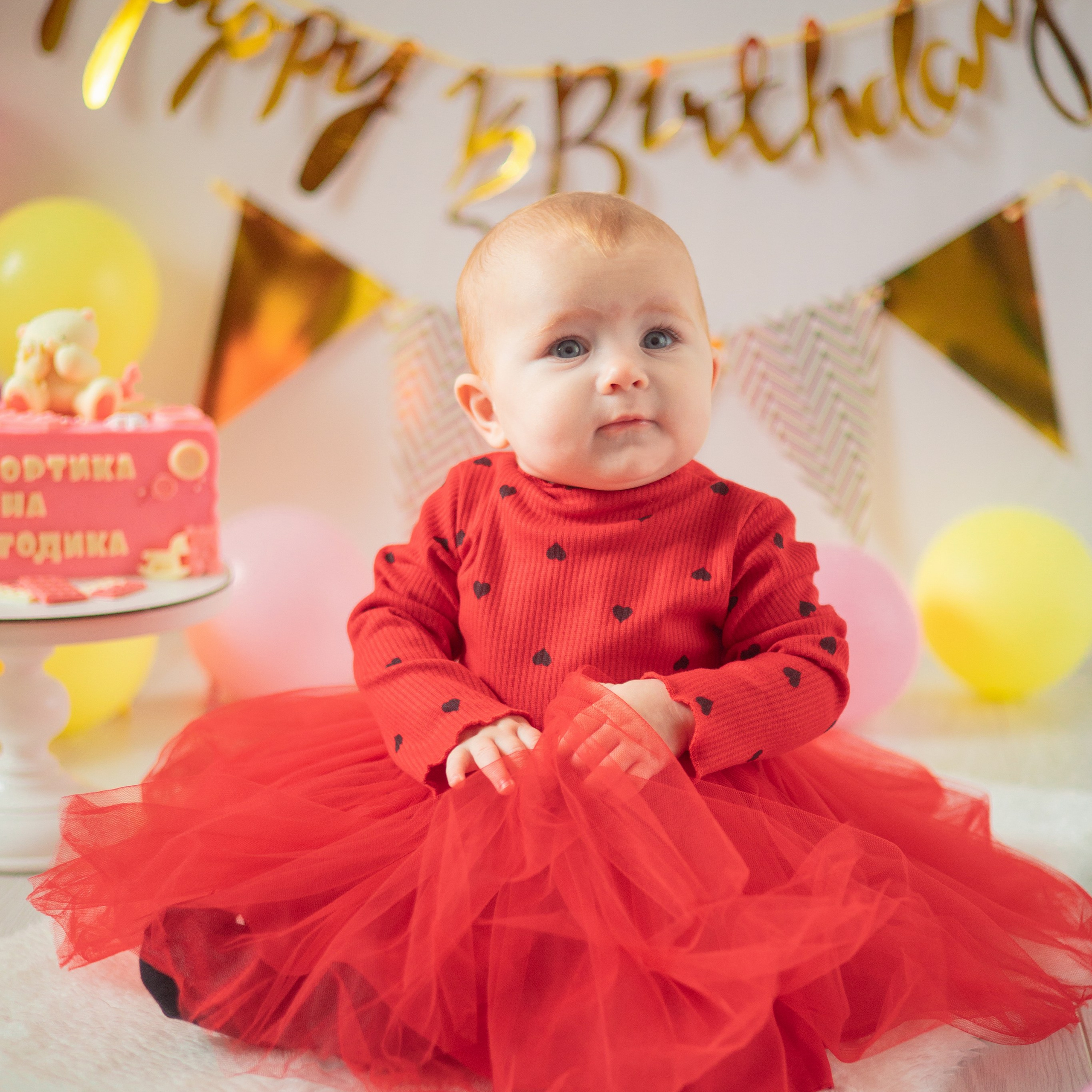 Злате полгодика