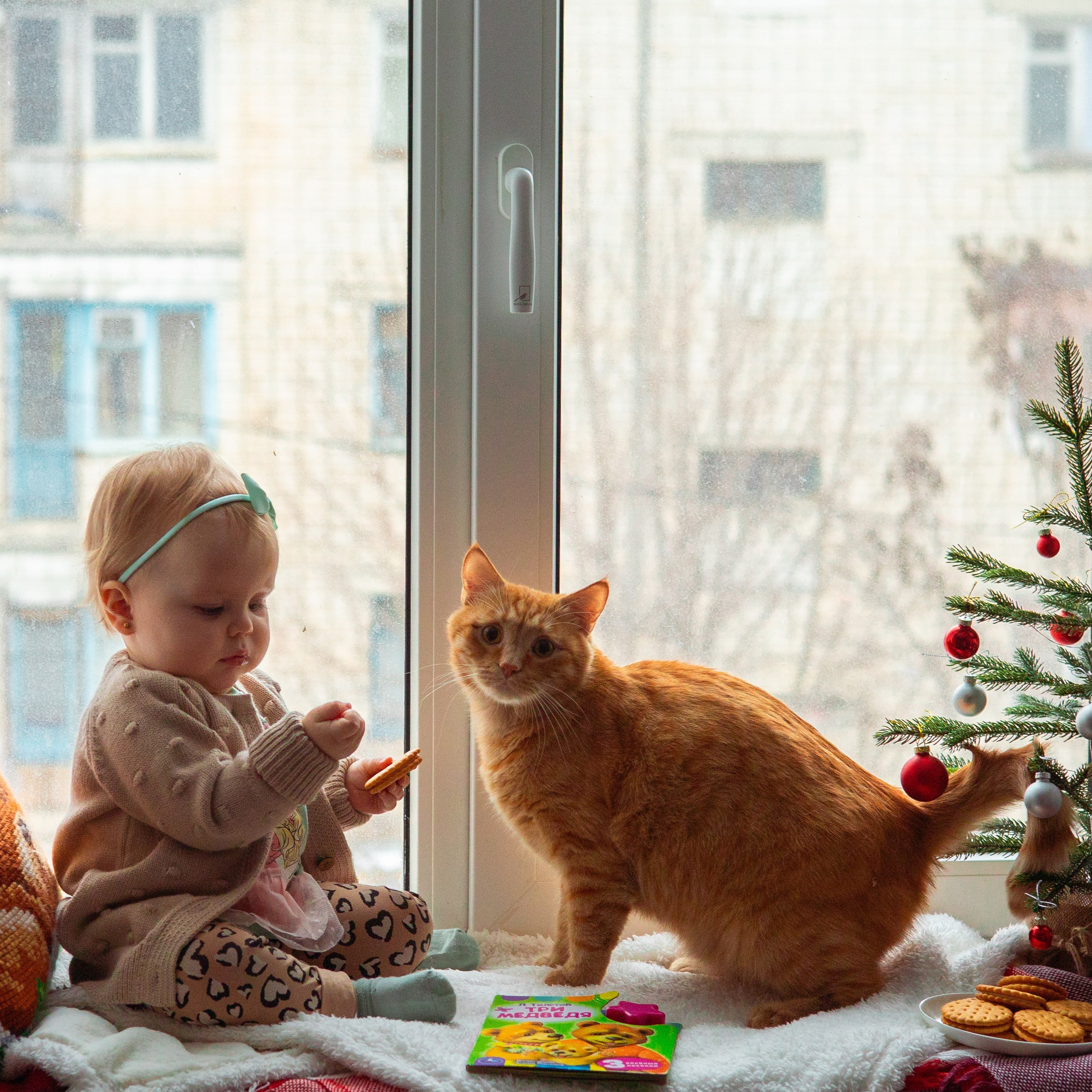 Новогоднее окно