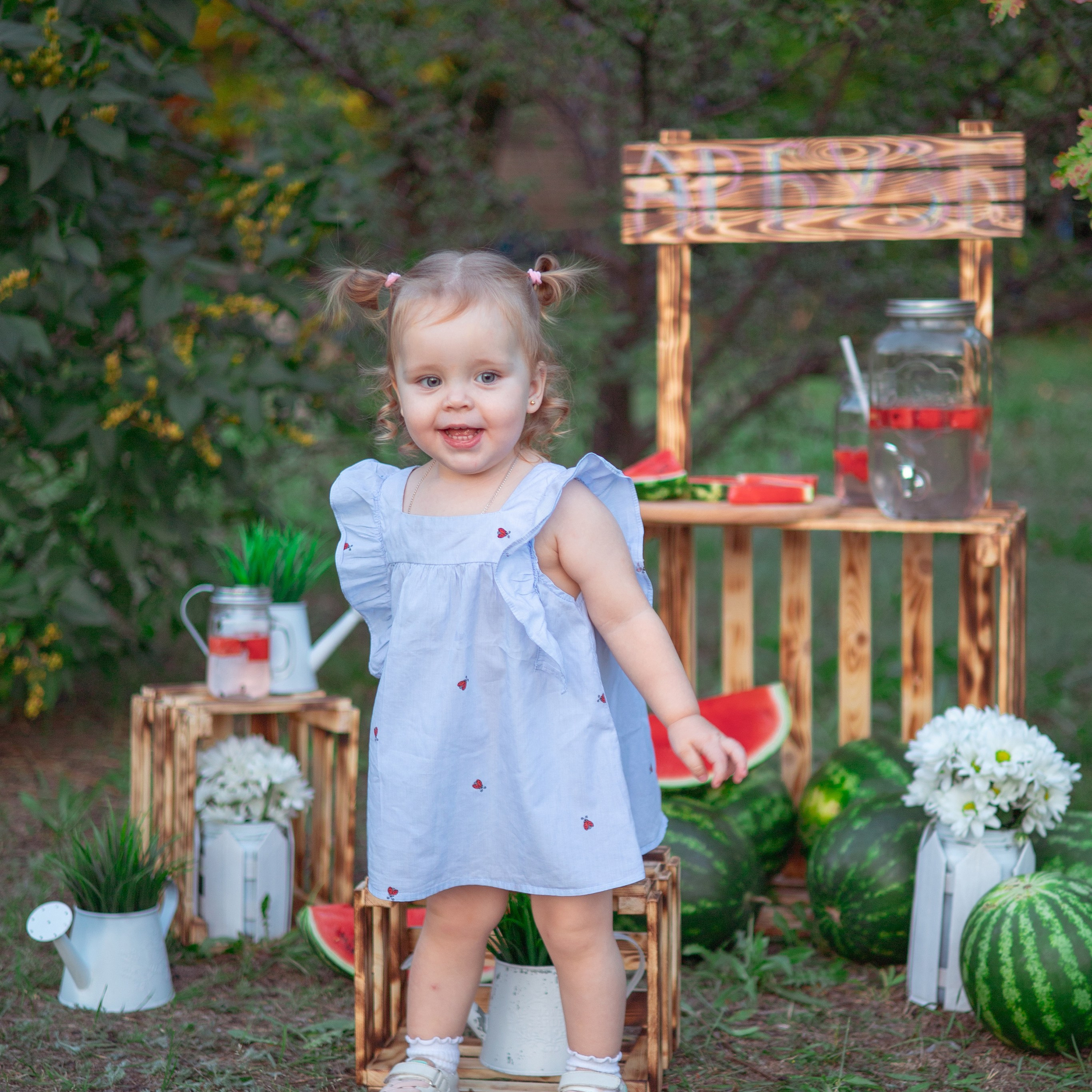 Соня арбузы