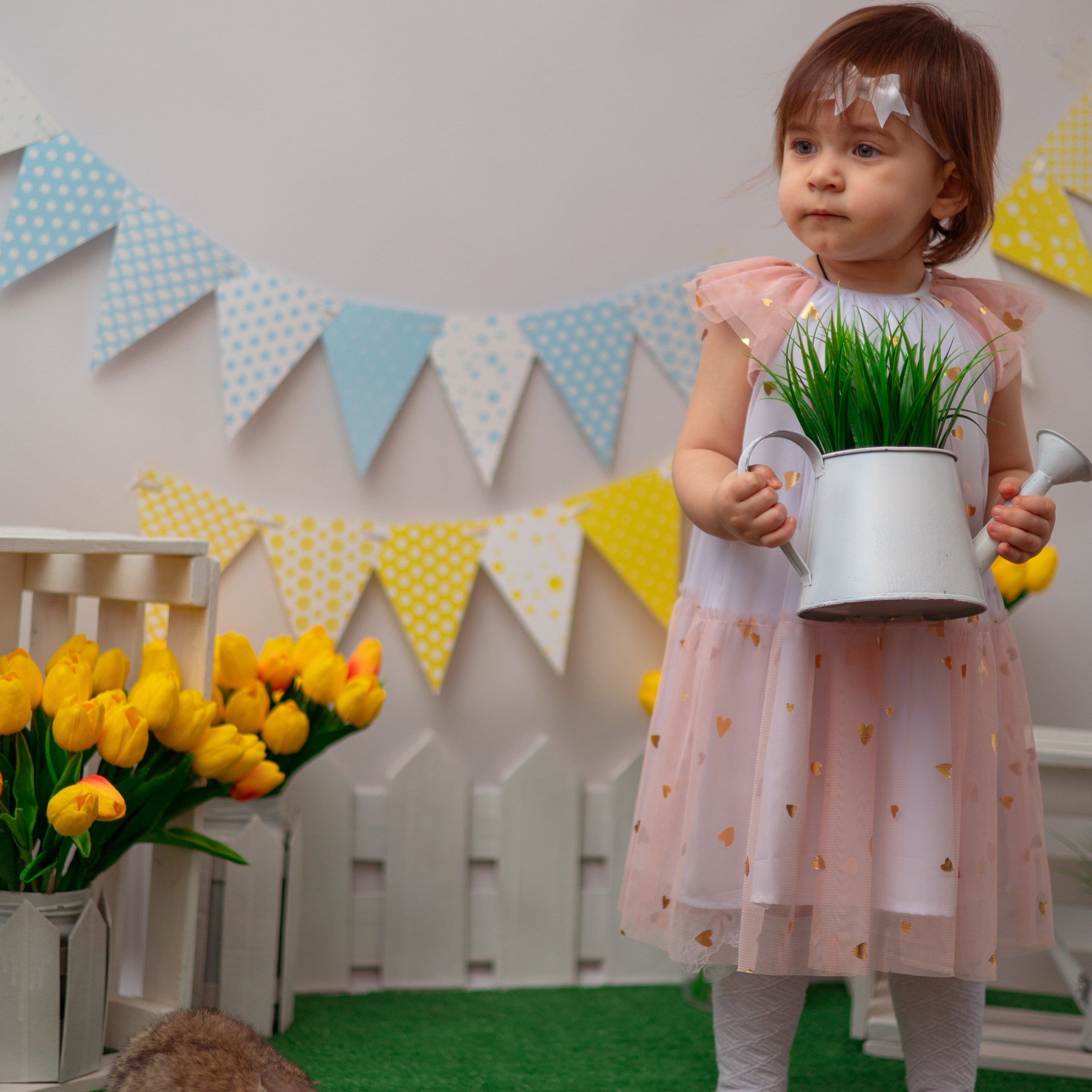 Мирослава кролики