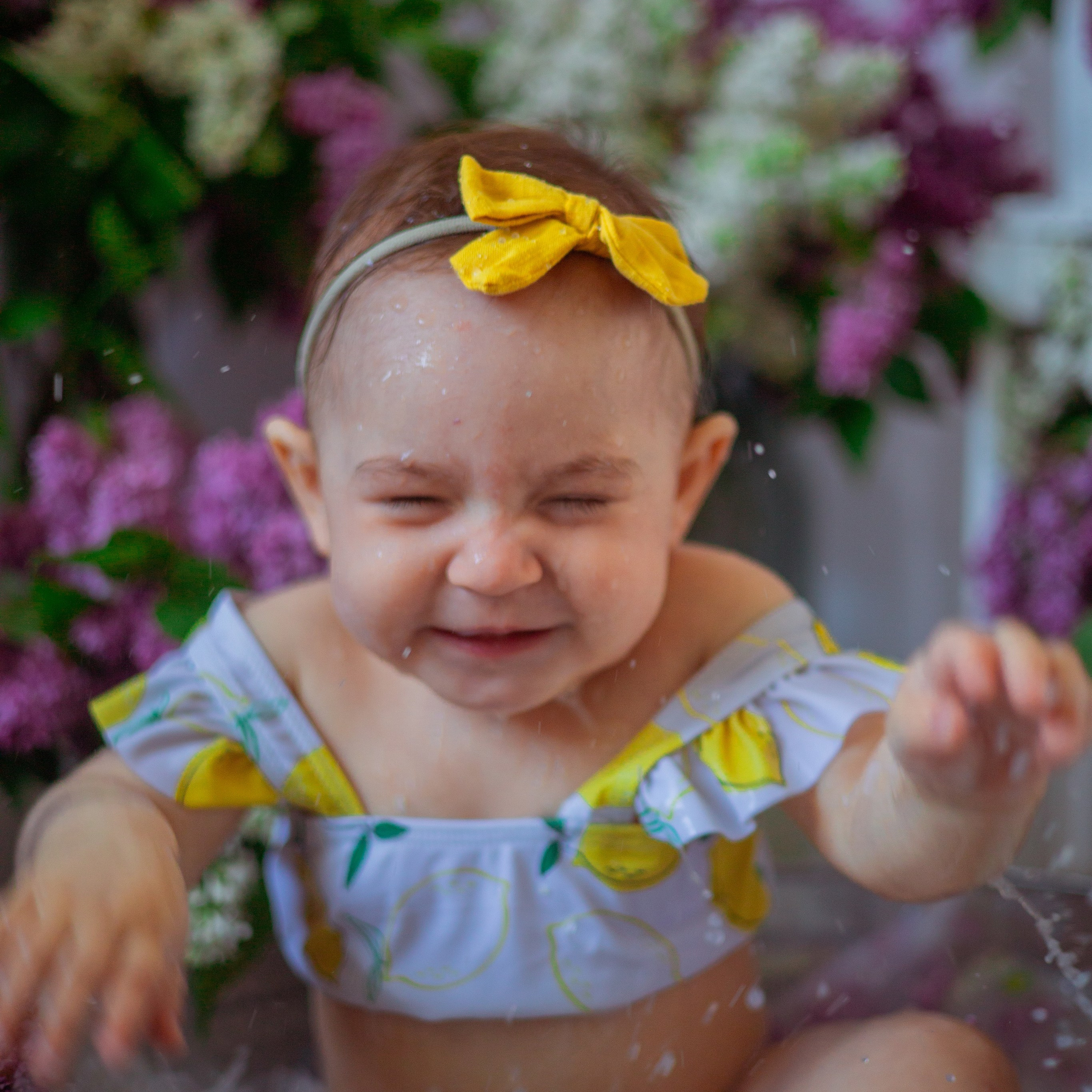 Мира сирень