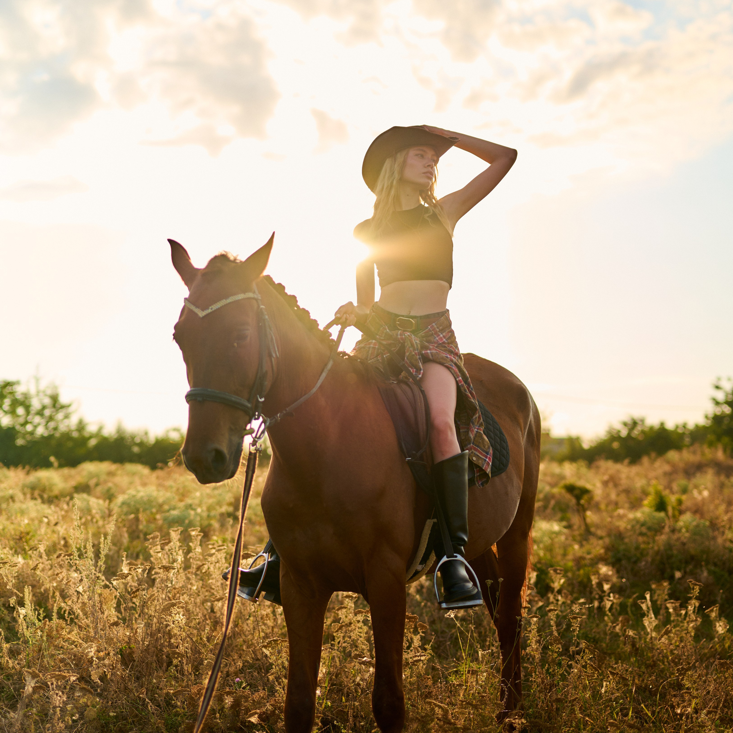 Выездная Лошади