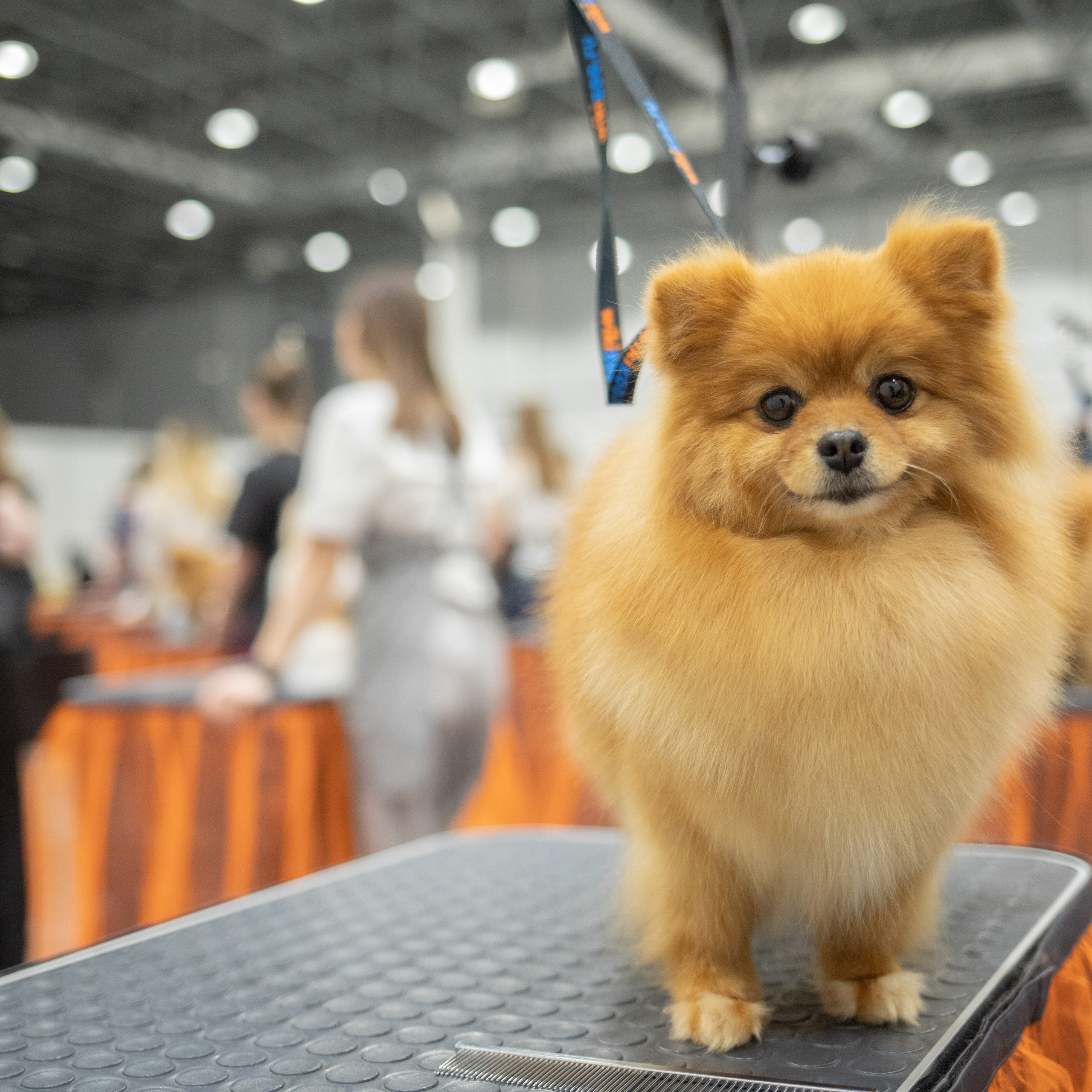 PEOPLE SAYS. Photographer Alina Skitovich