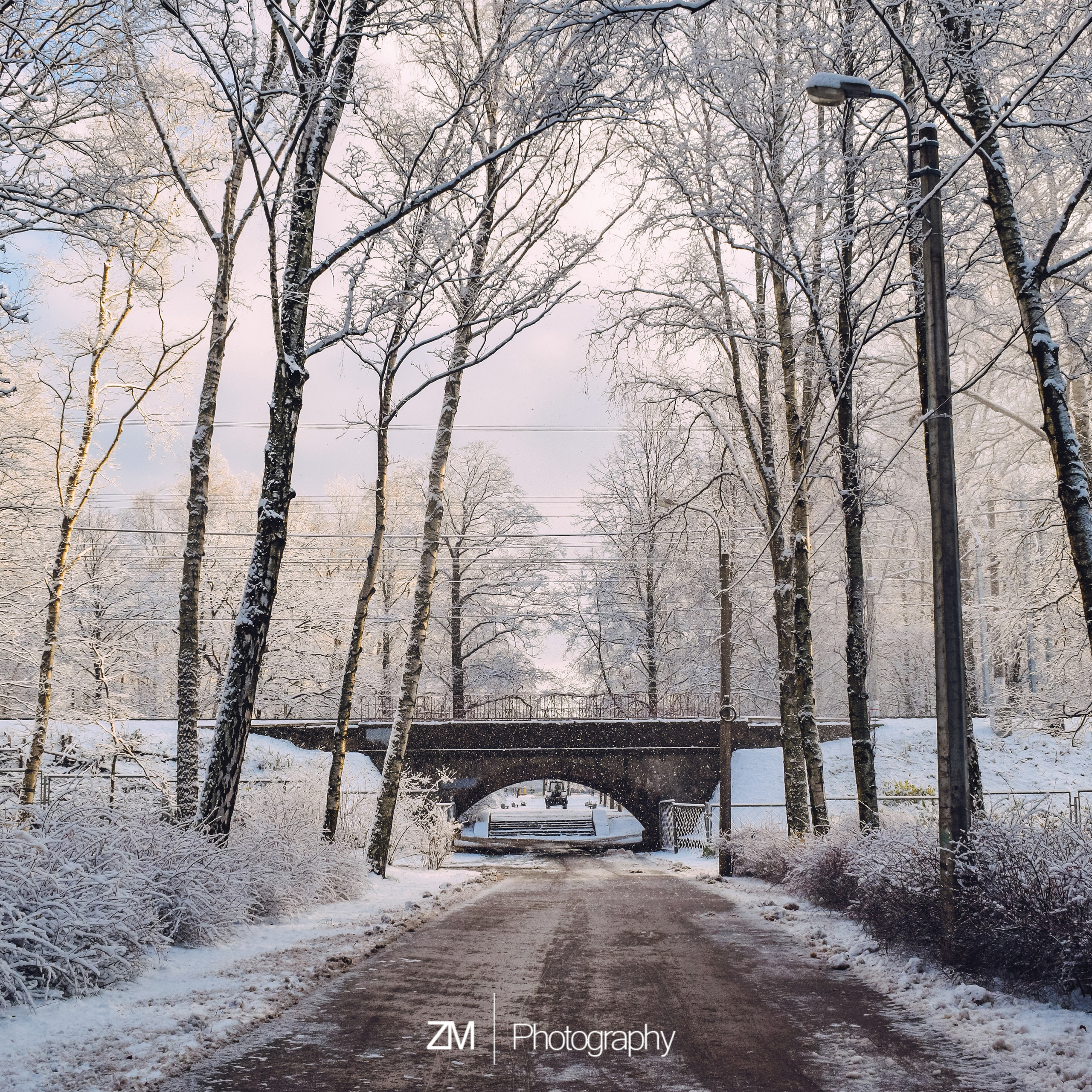 Однажды в октябре. Фотограф людей и животных в Санкт-Петербурге Марина Бурмистрова