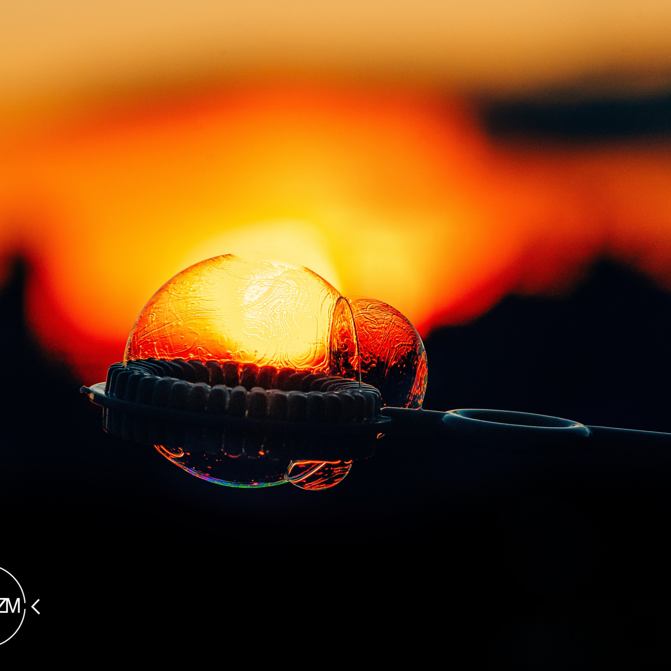 Фотопериод самоизоляции. Фотограф людей и животных в Санкт-Петербурге Марина Бурмистрова