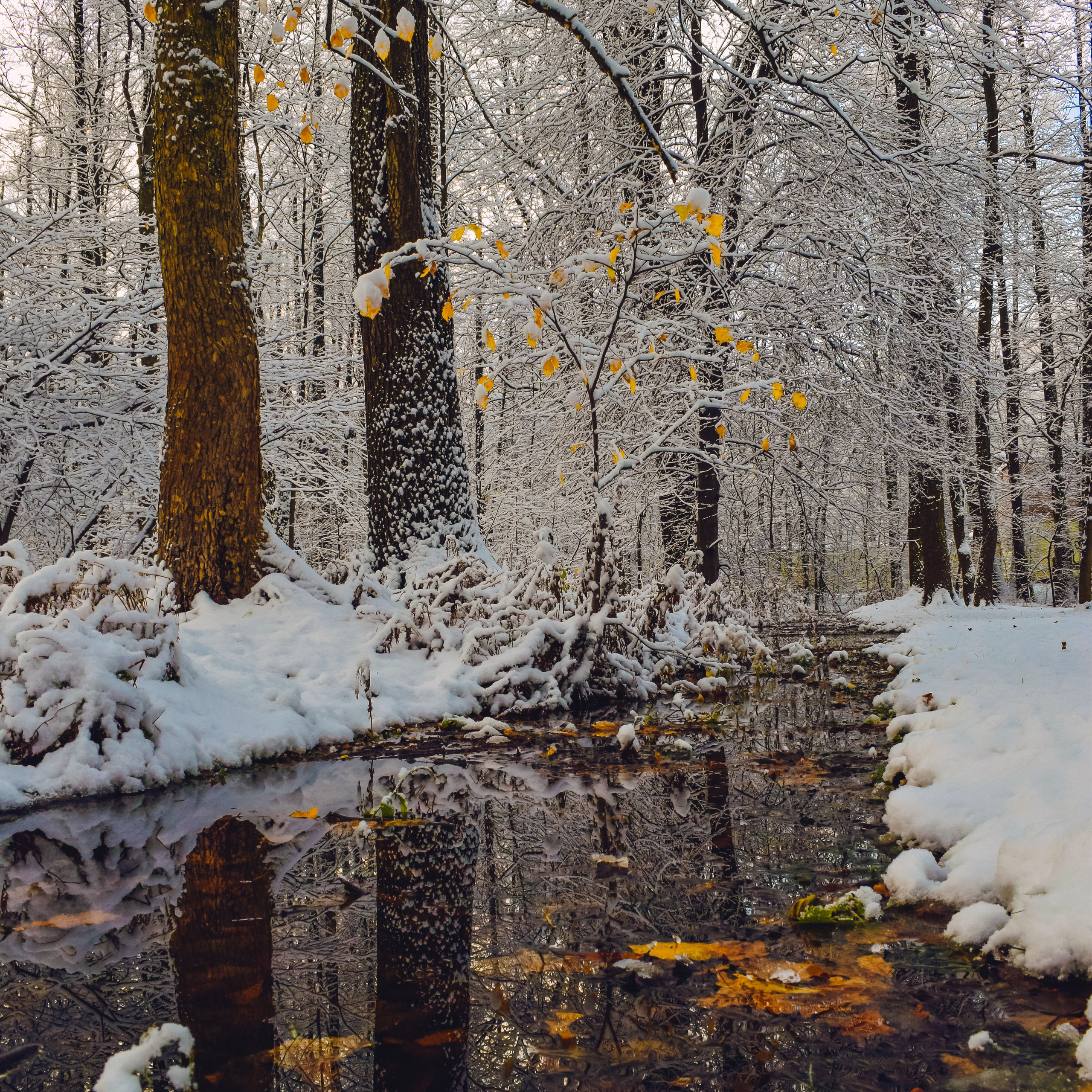 Однажды в октябре. Фотограф людей и животных в Санкт-Петербурге Марина Бурмистрова