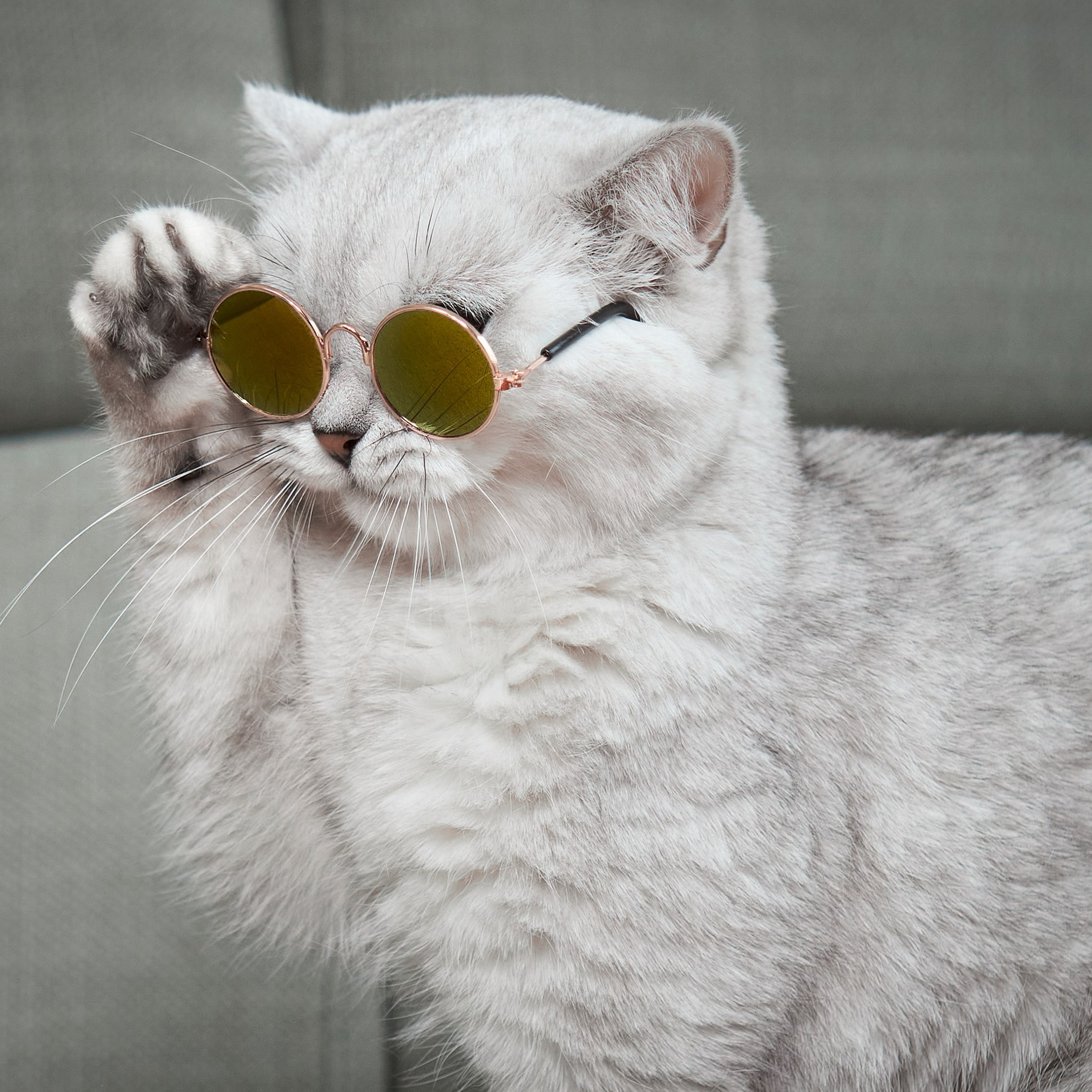 Отзывы. Фотограф людей и животных в Санкт-Петербурге Марина Бурмистрова