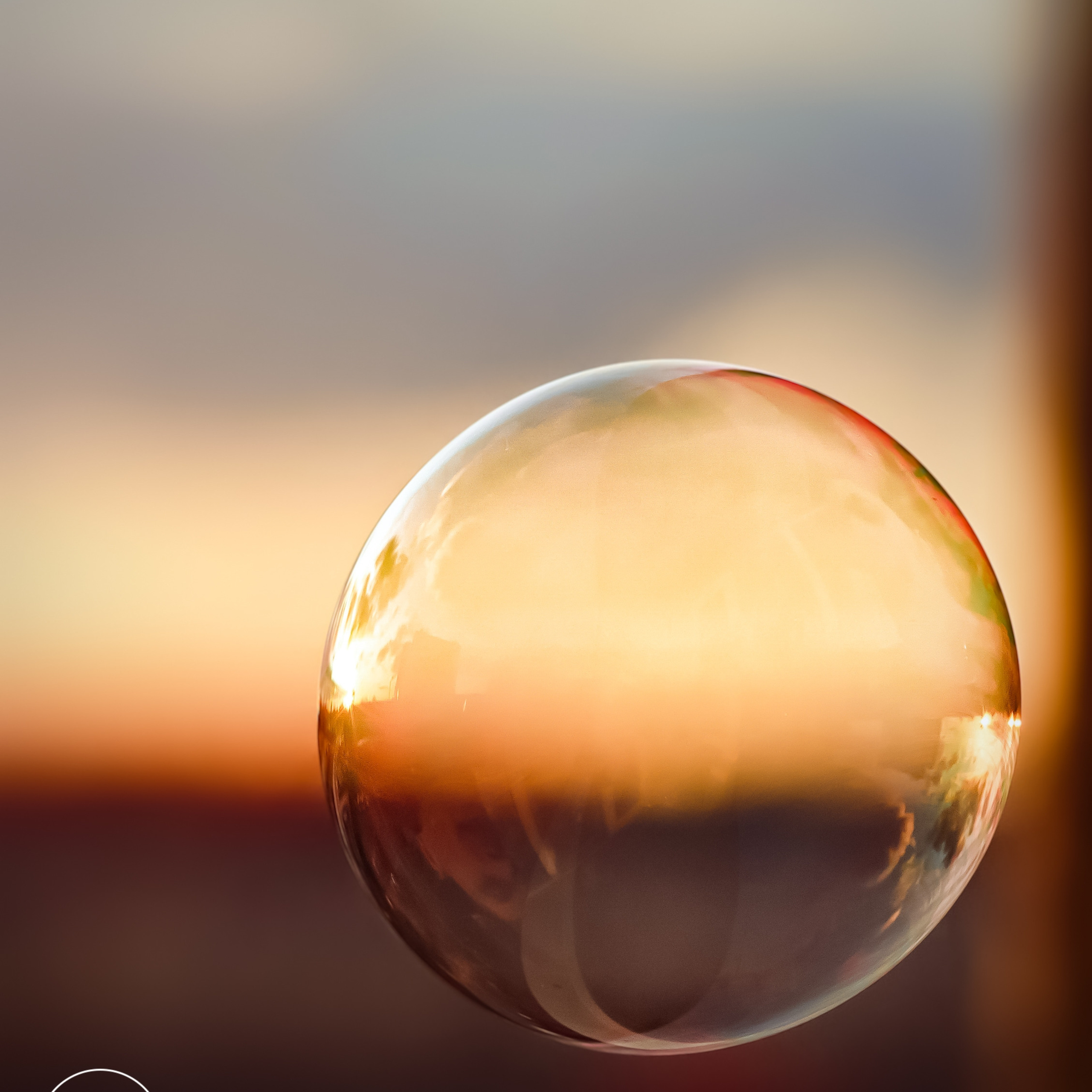 День 11, пускать пузыри на фоне заката очень здорово)