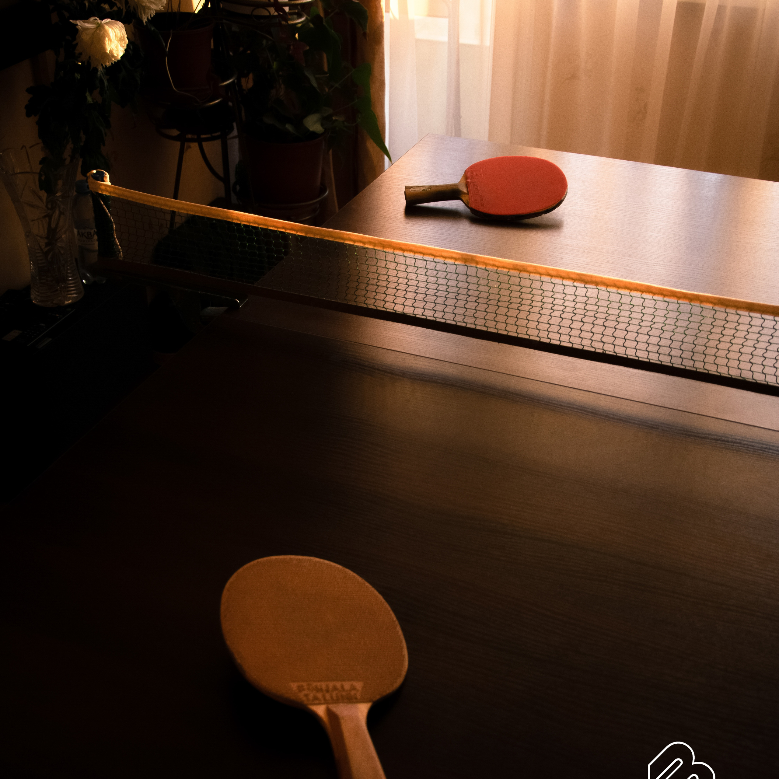 На 5 день папа разложил в комнате теннисный стол и мы с родителями поиграли, было здорово