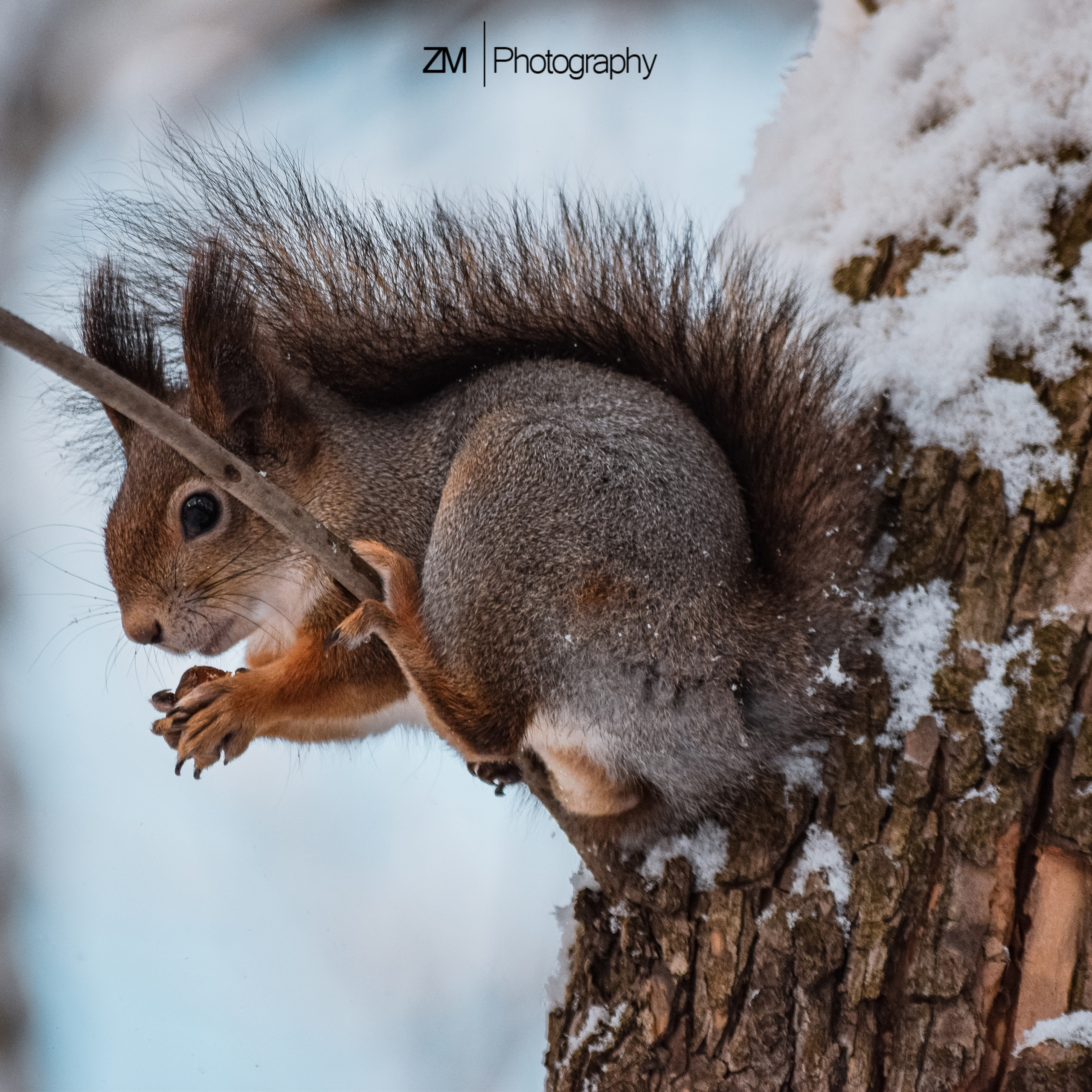 Однажды в октябре. Фотограф людей и животных в Санкт-Петербурге Марина Бурмистрова