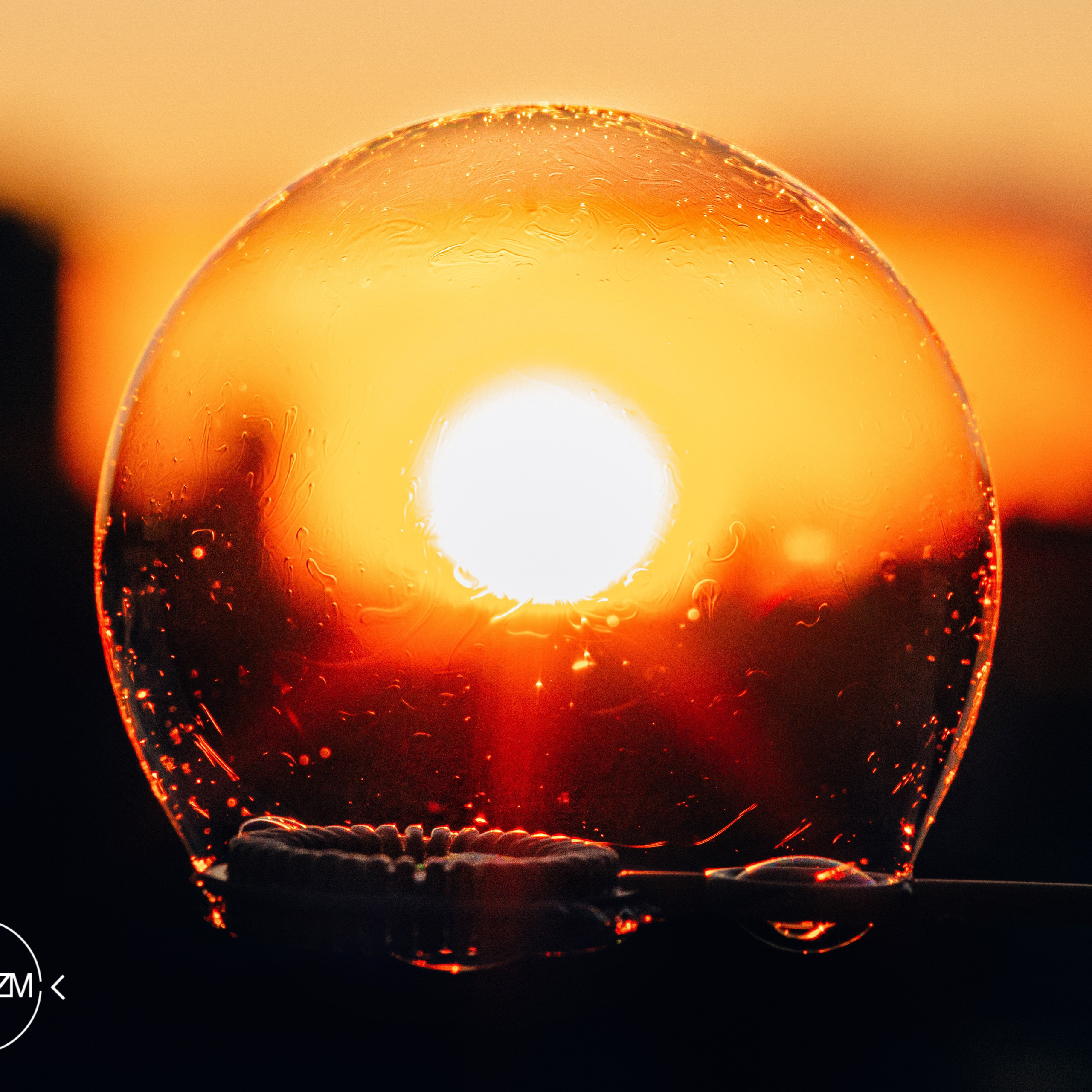 Фотопериод самоизоляции. Фотограф людей и животных в Санкт-Петербурге Марина Бурмистрова