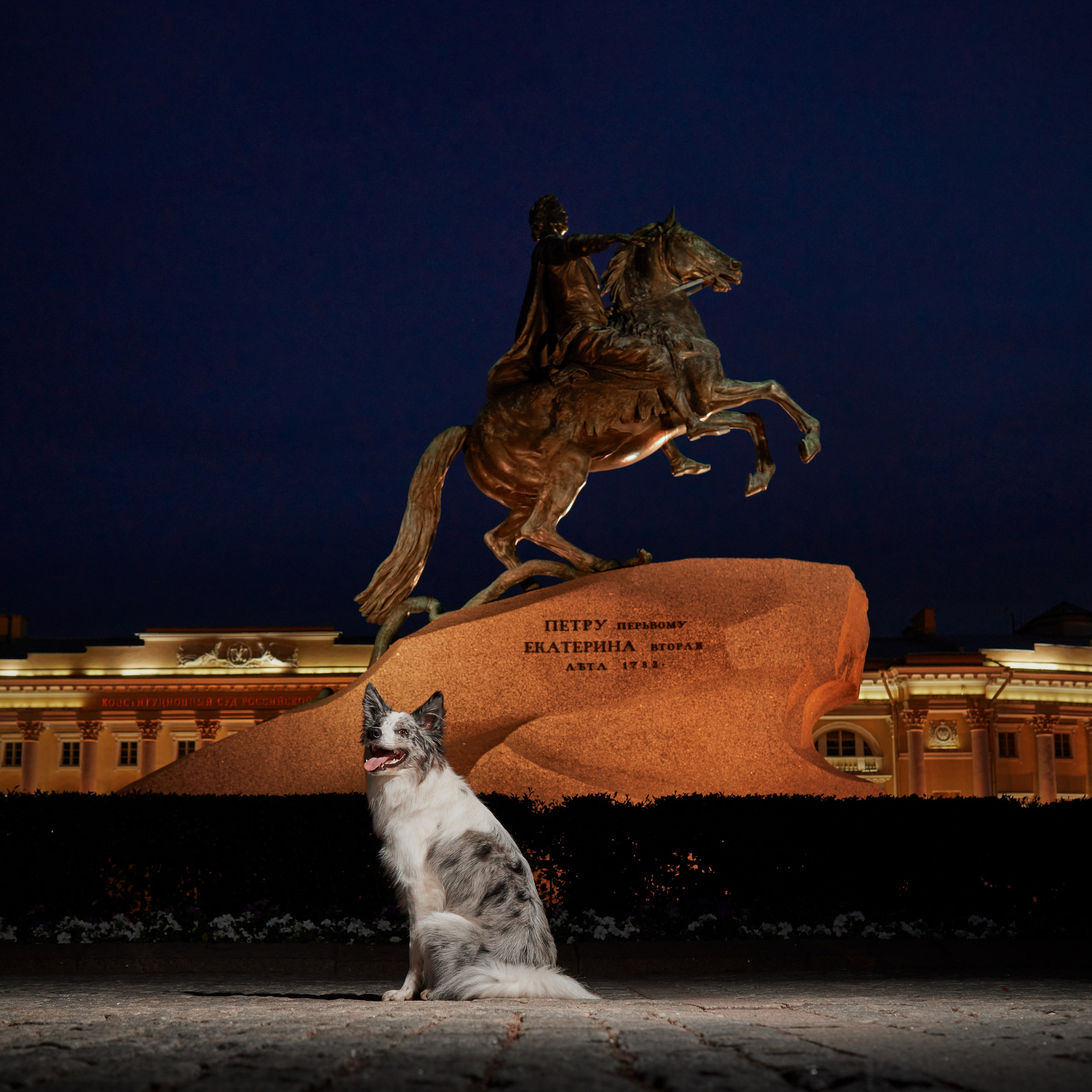 Анималистика. Выездные съемки