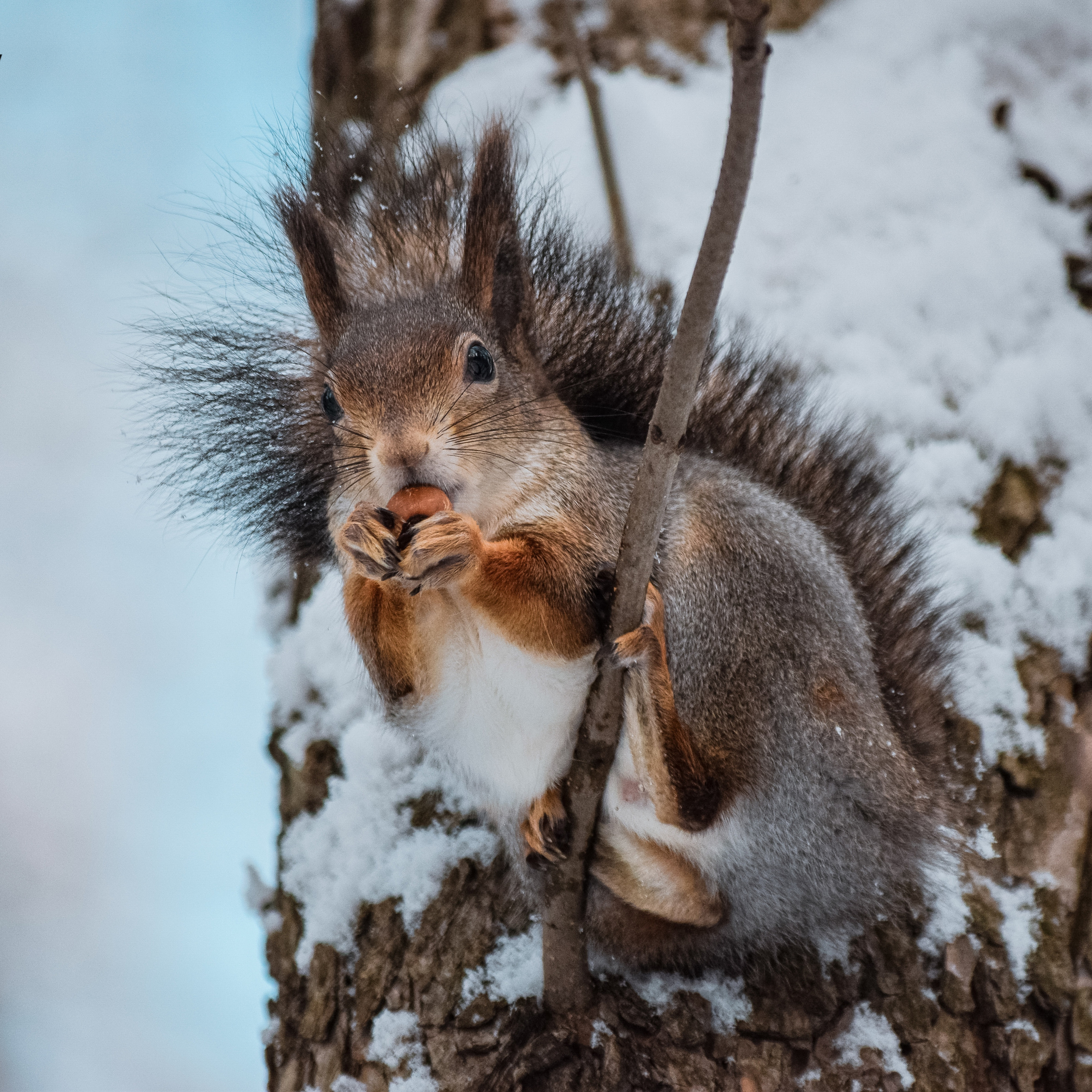 Однажды в октябре. Фотограф людей и животных в Санкт-Петербурге Марина Бурмистрова