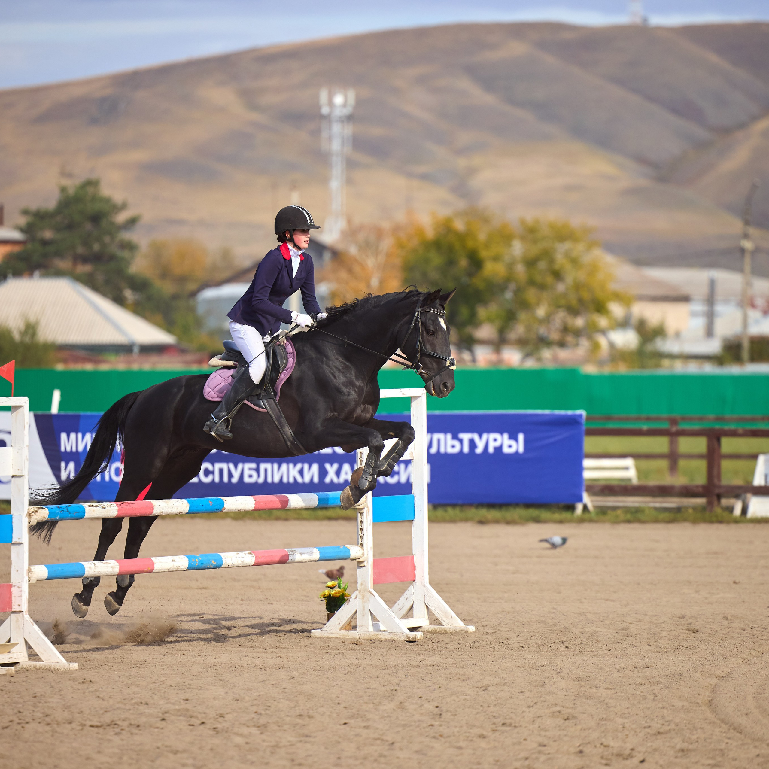 Конкур на Абаканском ипподроме