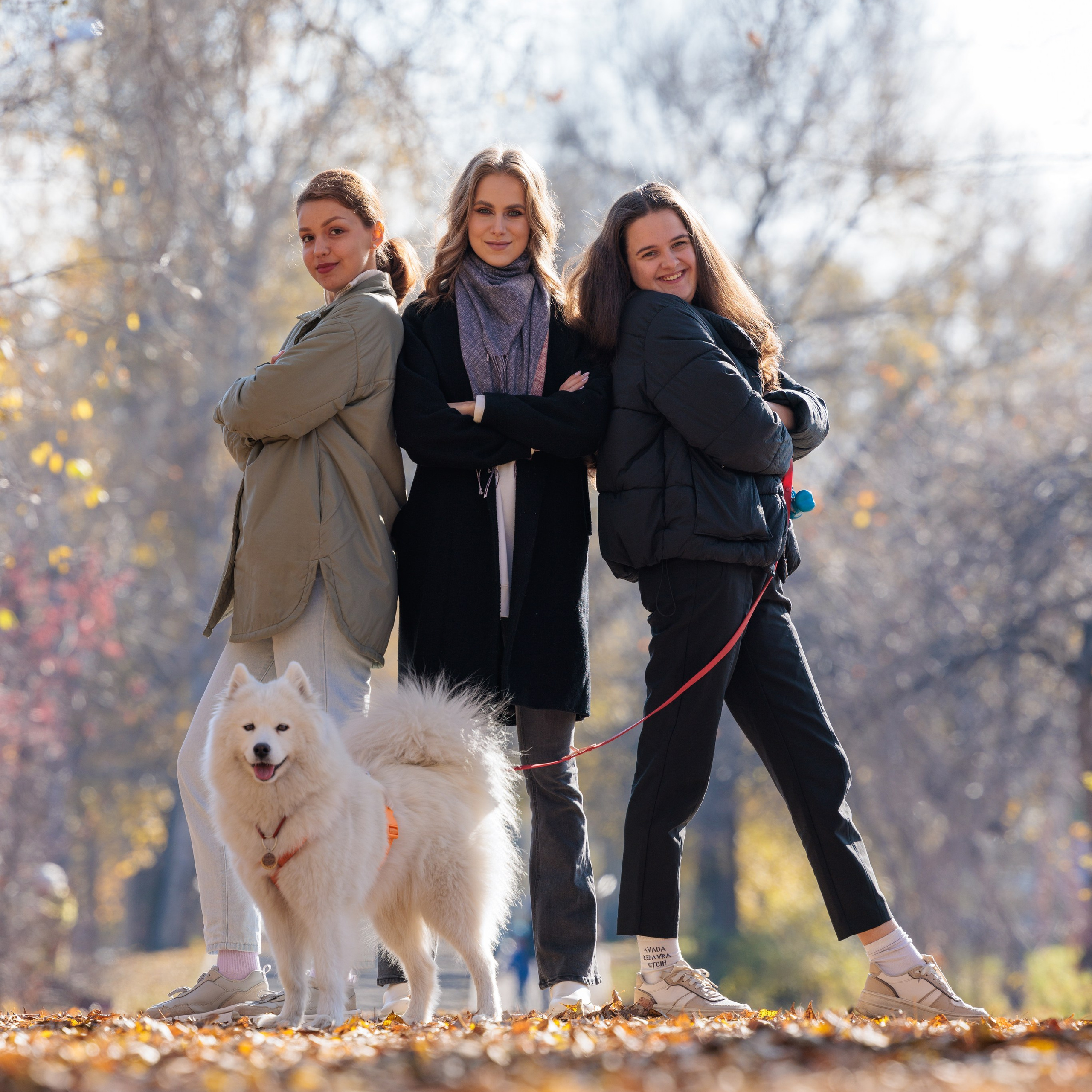 Осень в Абакане