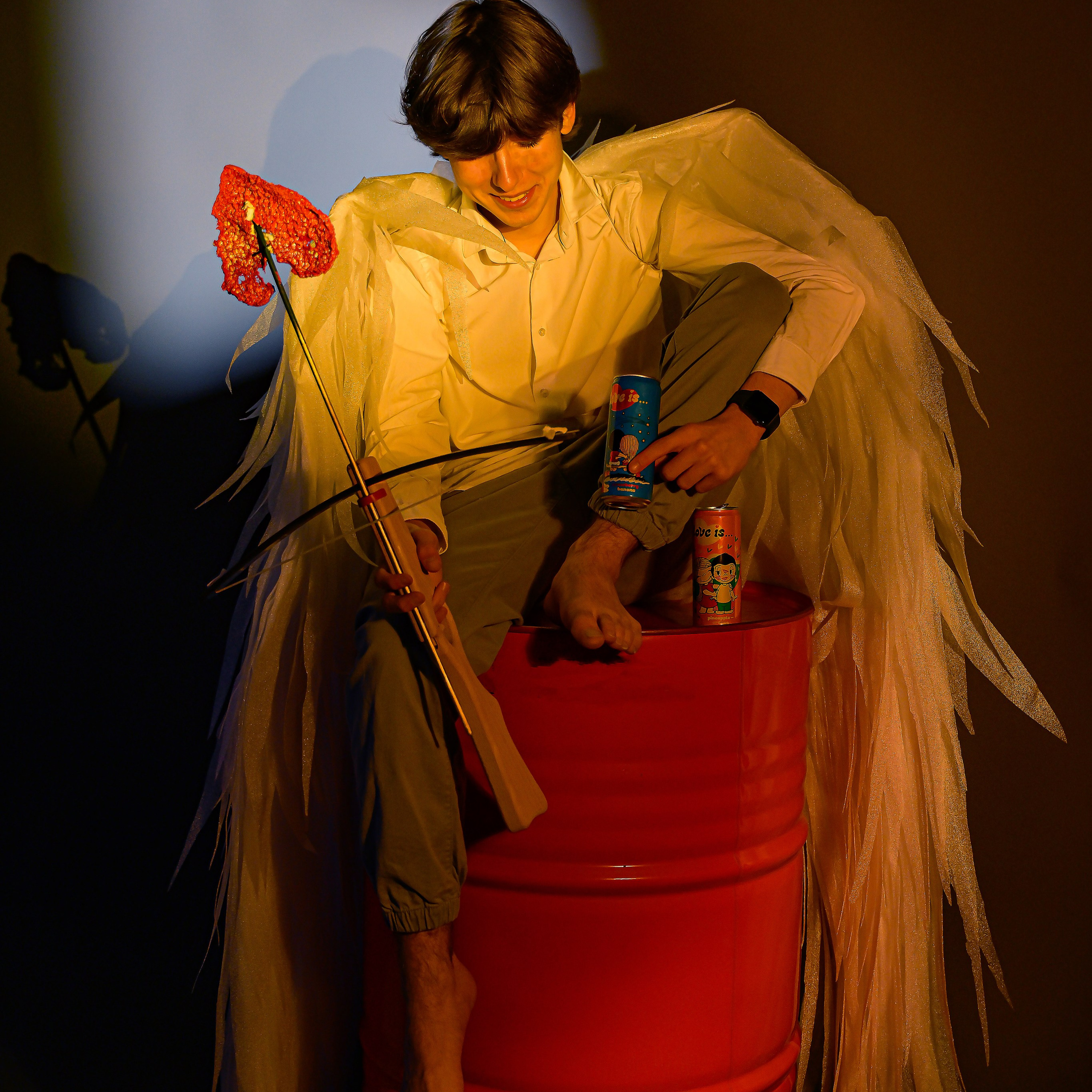 Крылатые истории