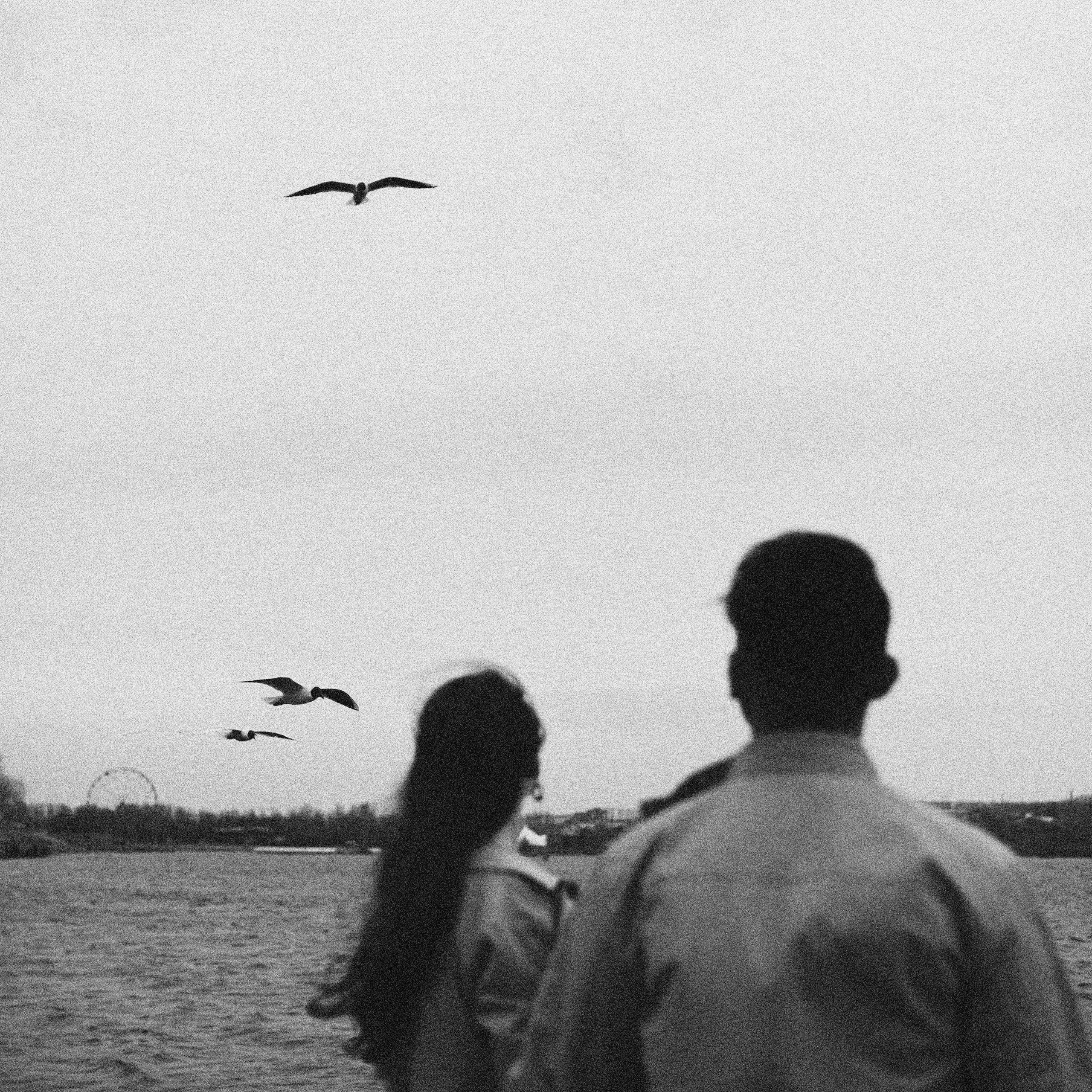 София и Николай с чайками