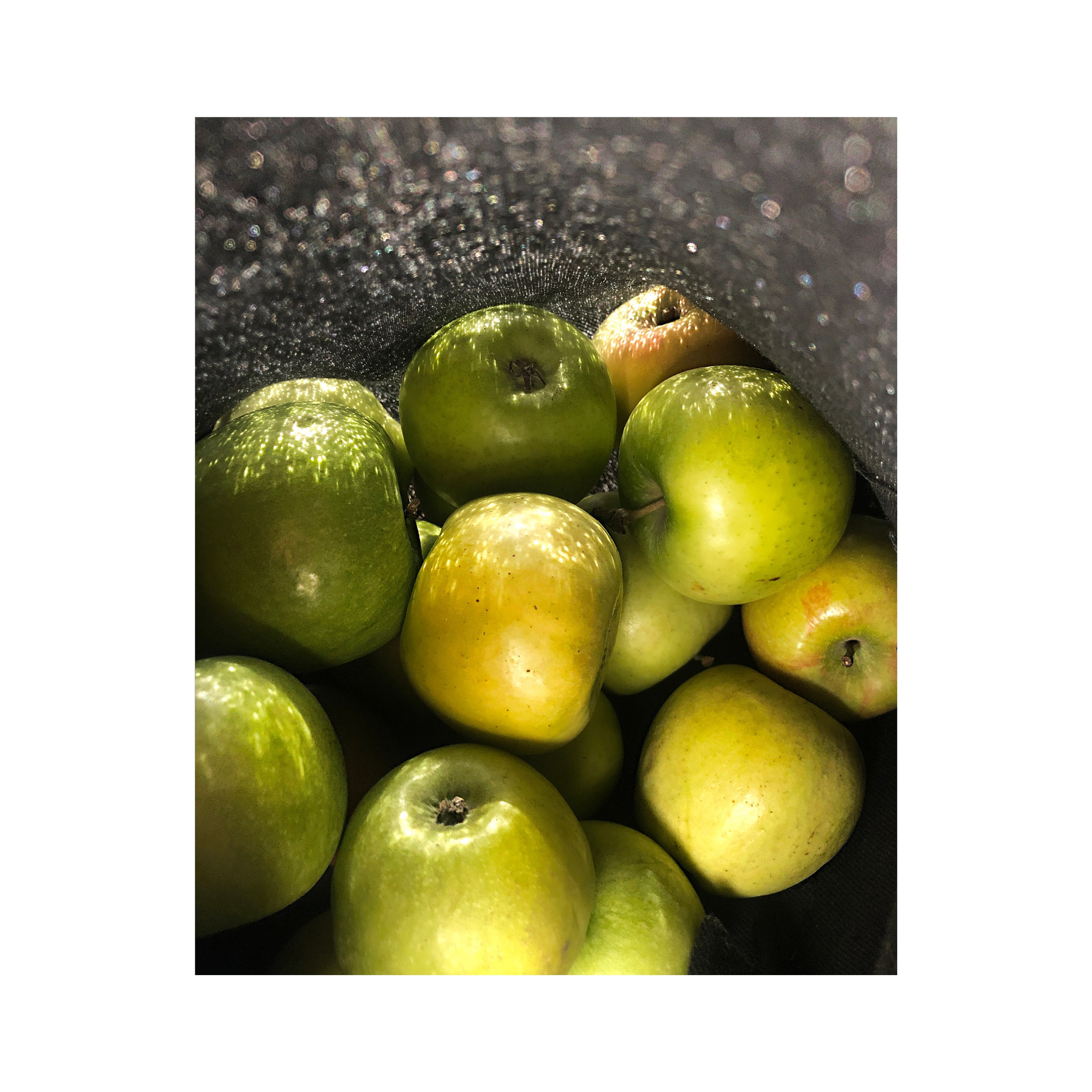Яблоки / Apples