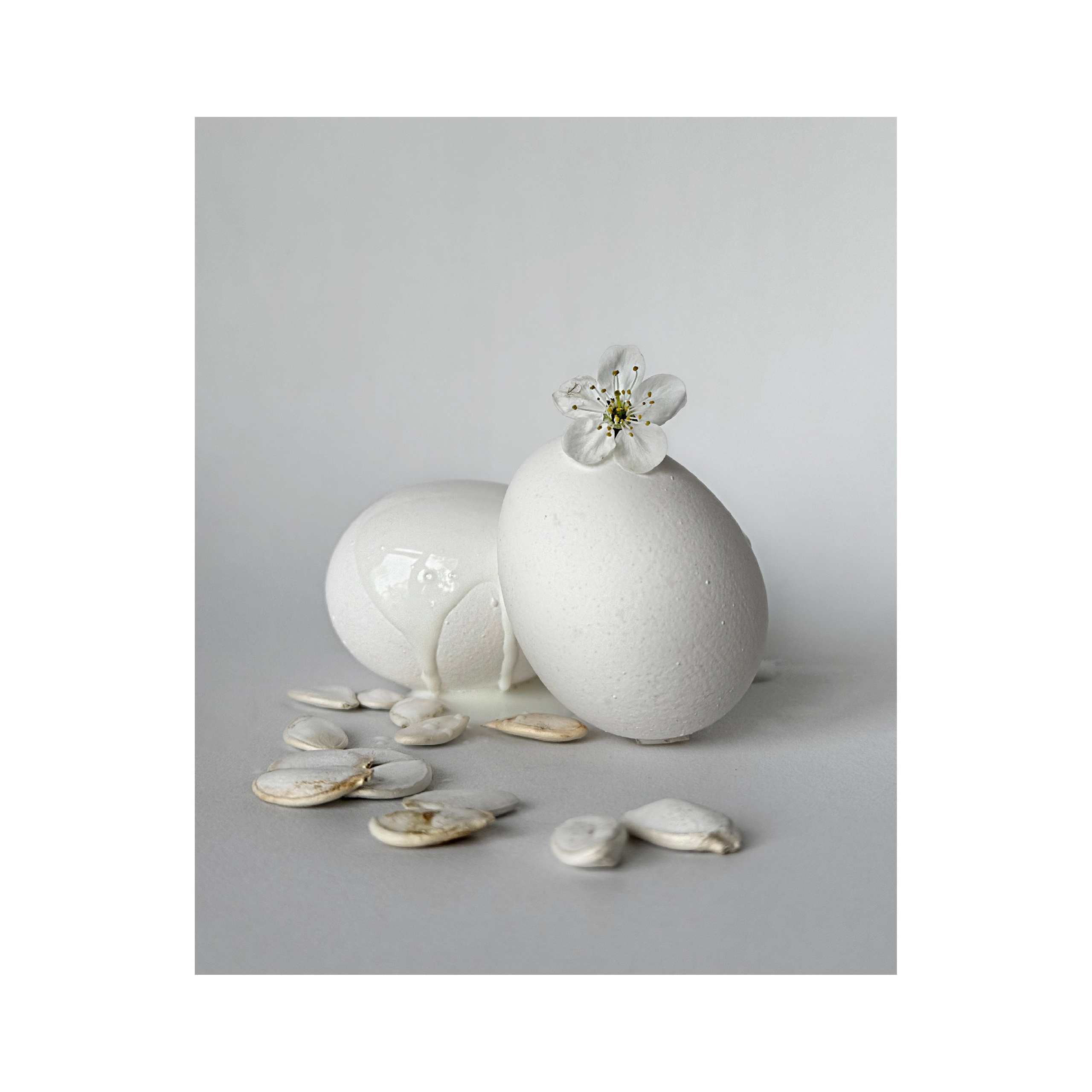 Яйцо белое / White Egg