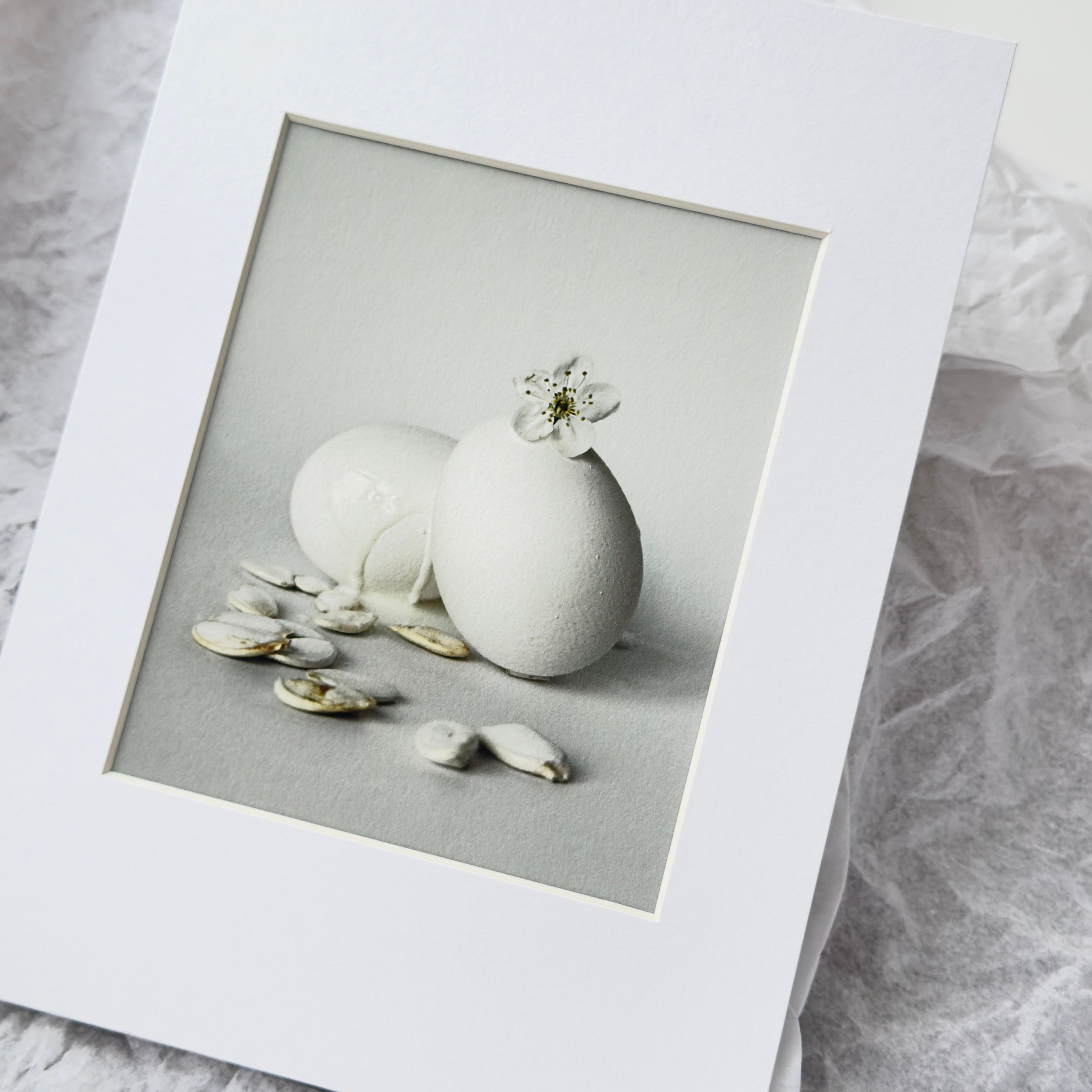 Яйцо белое / White Egg