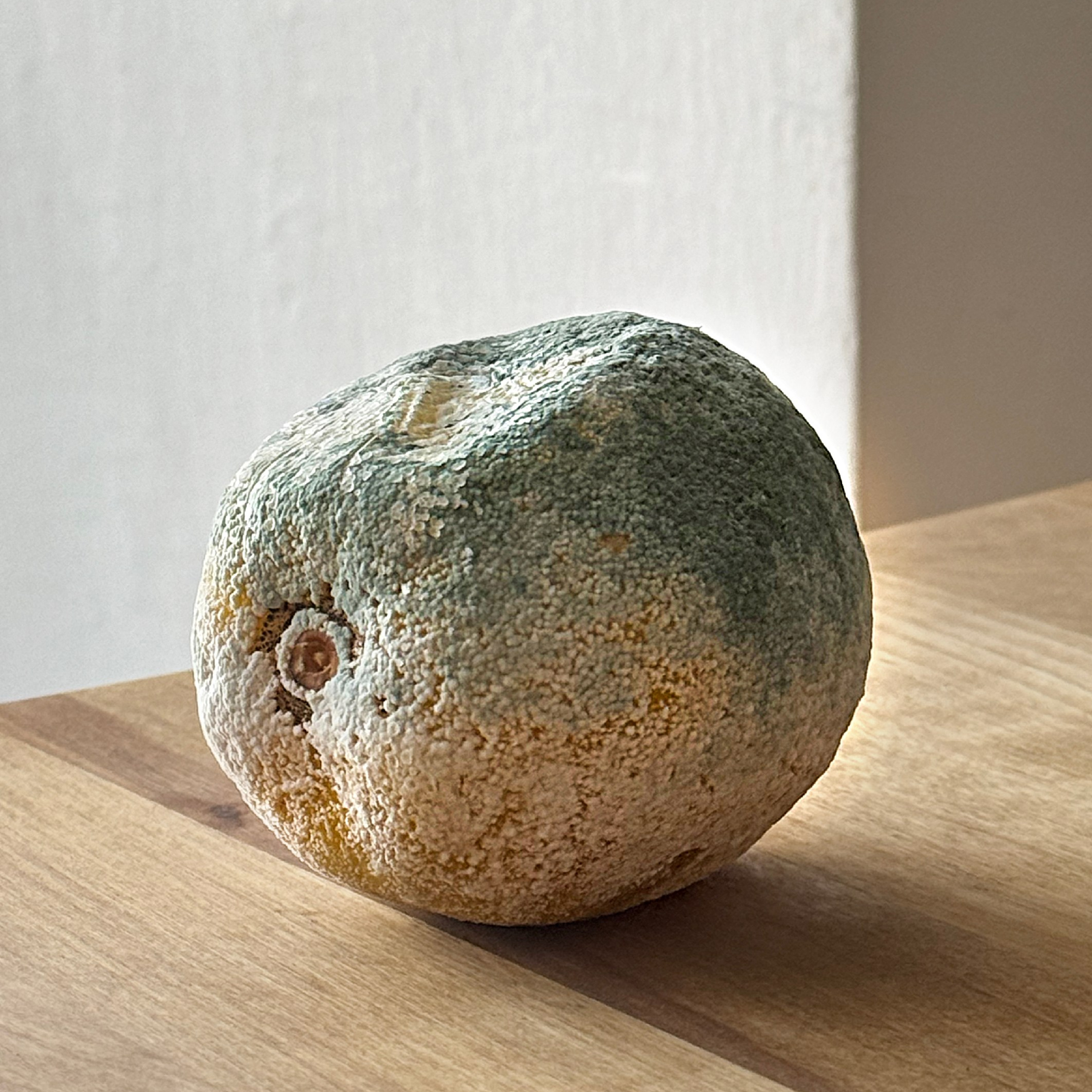 Персик (лимон) / Peach (lemon)