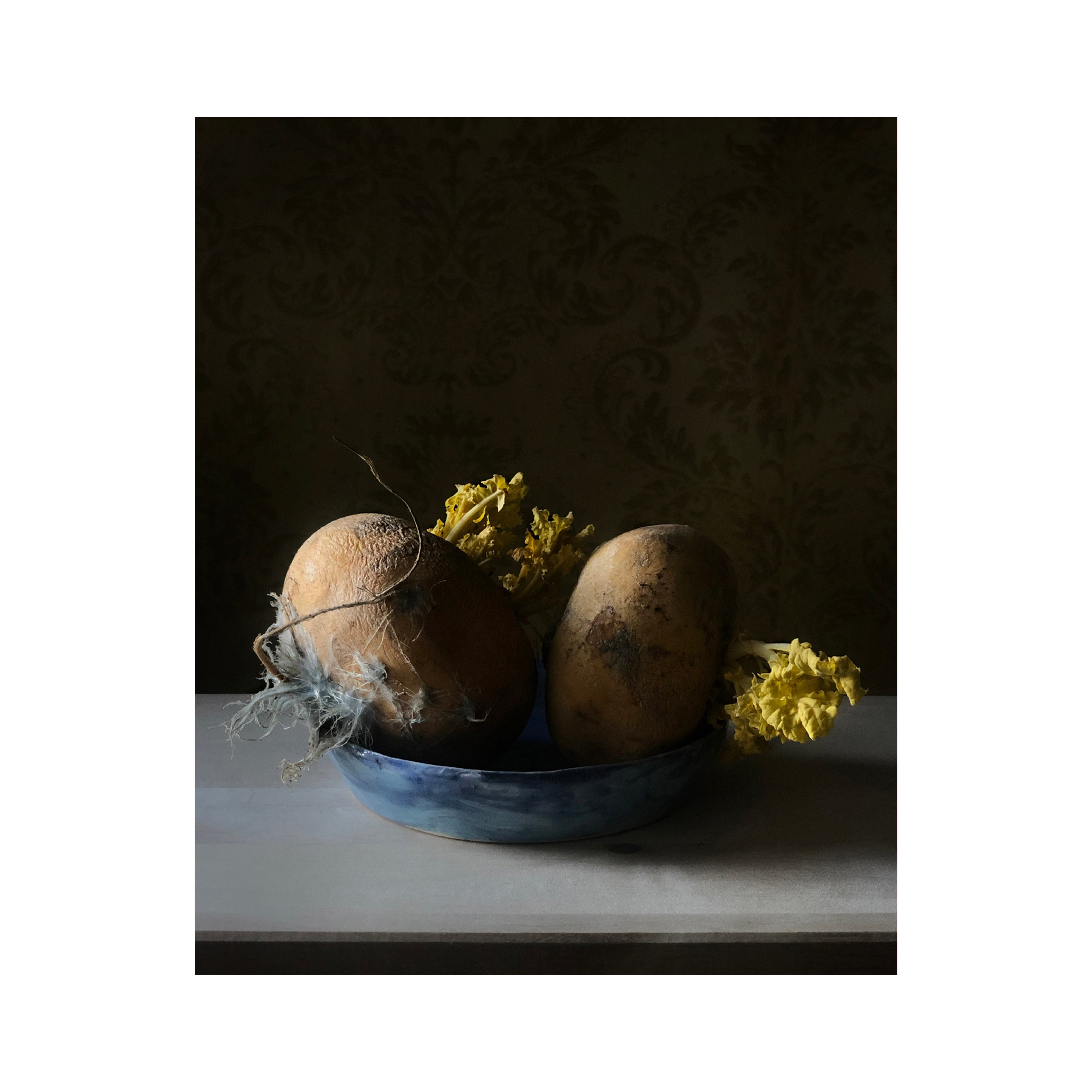 Репки / Turnips