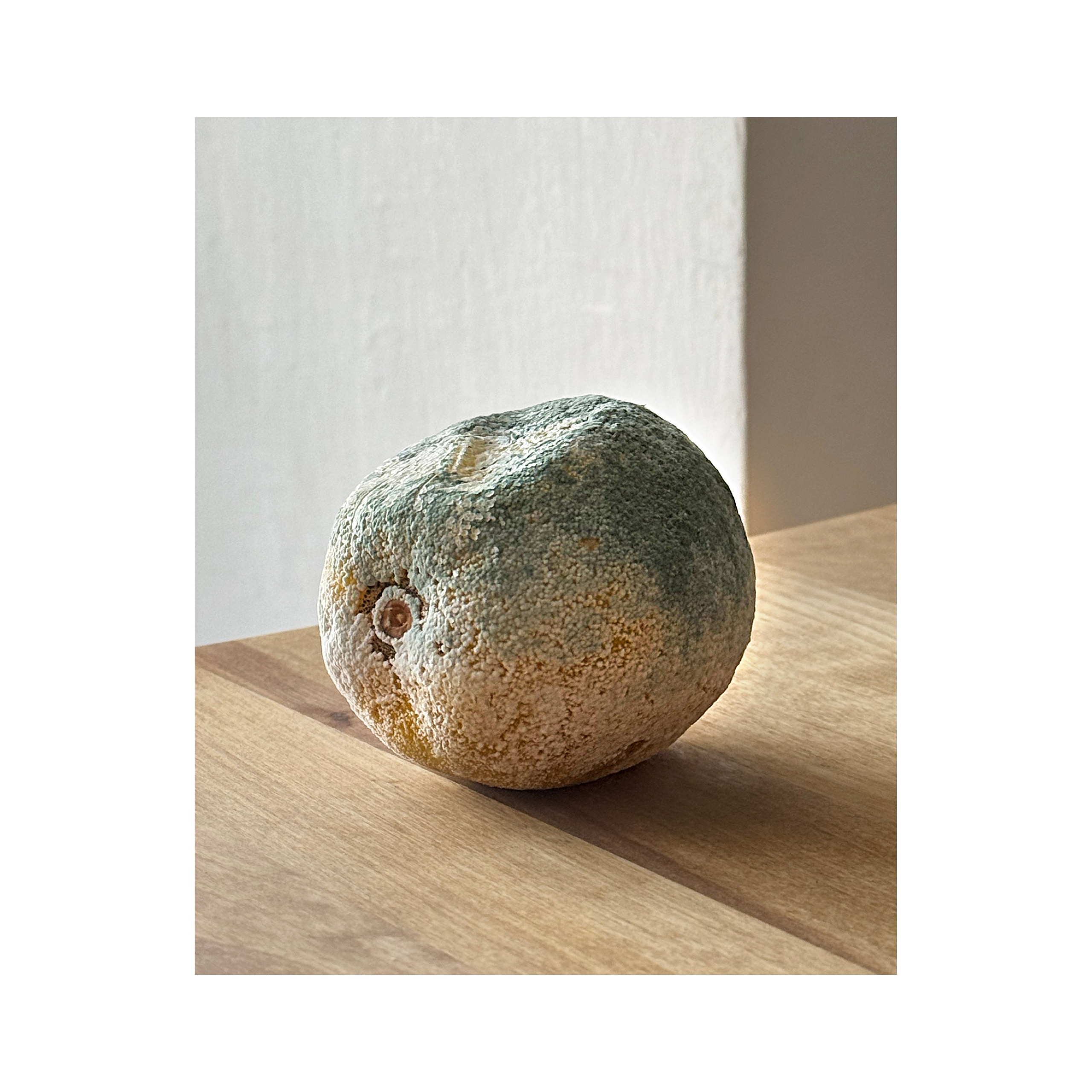 Персик (лимон) / Peach (lemon)