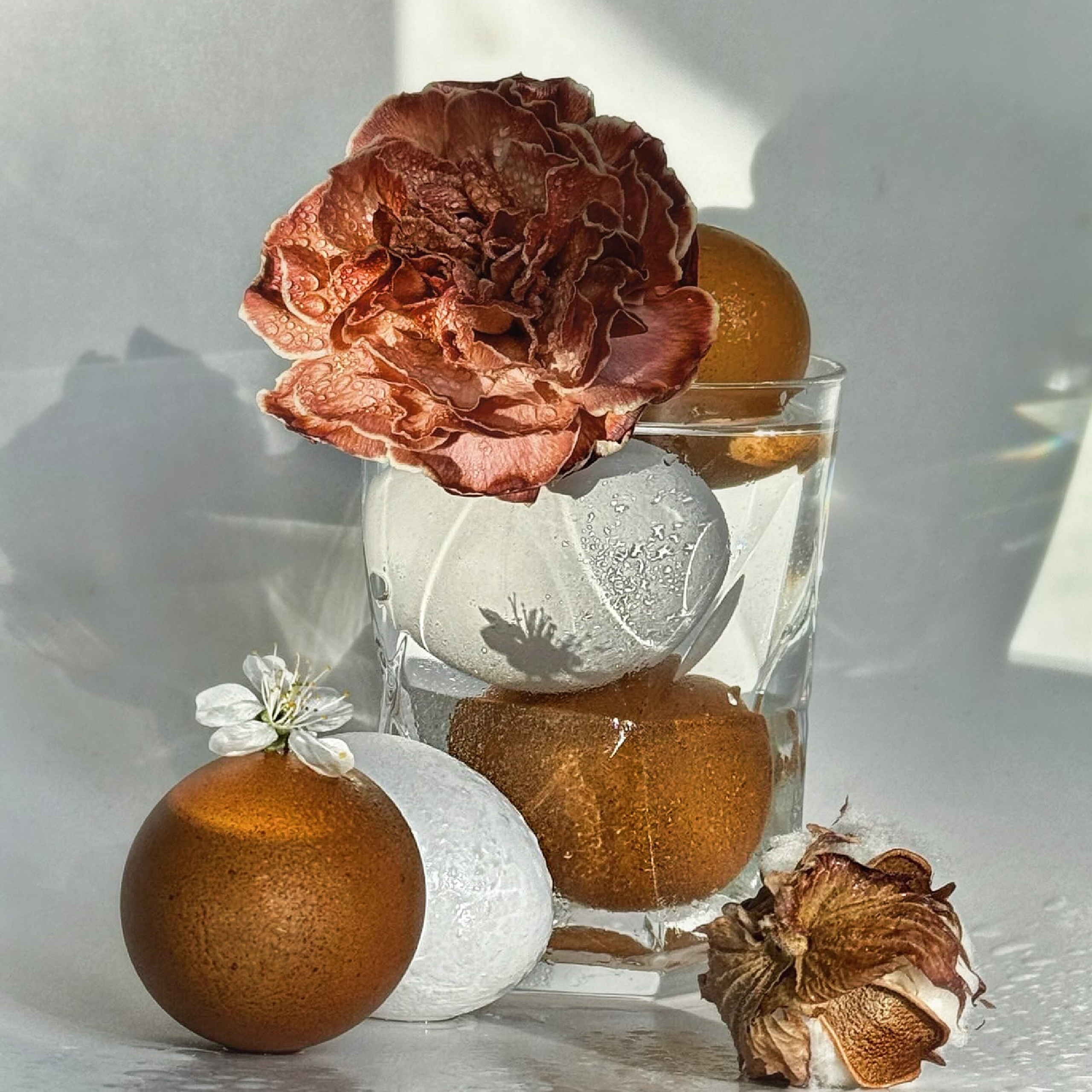Яйцо рыжее / Red Egg