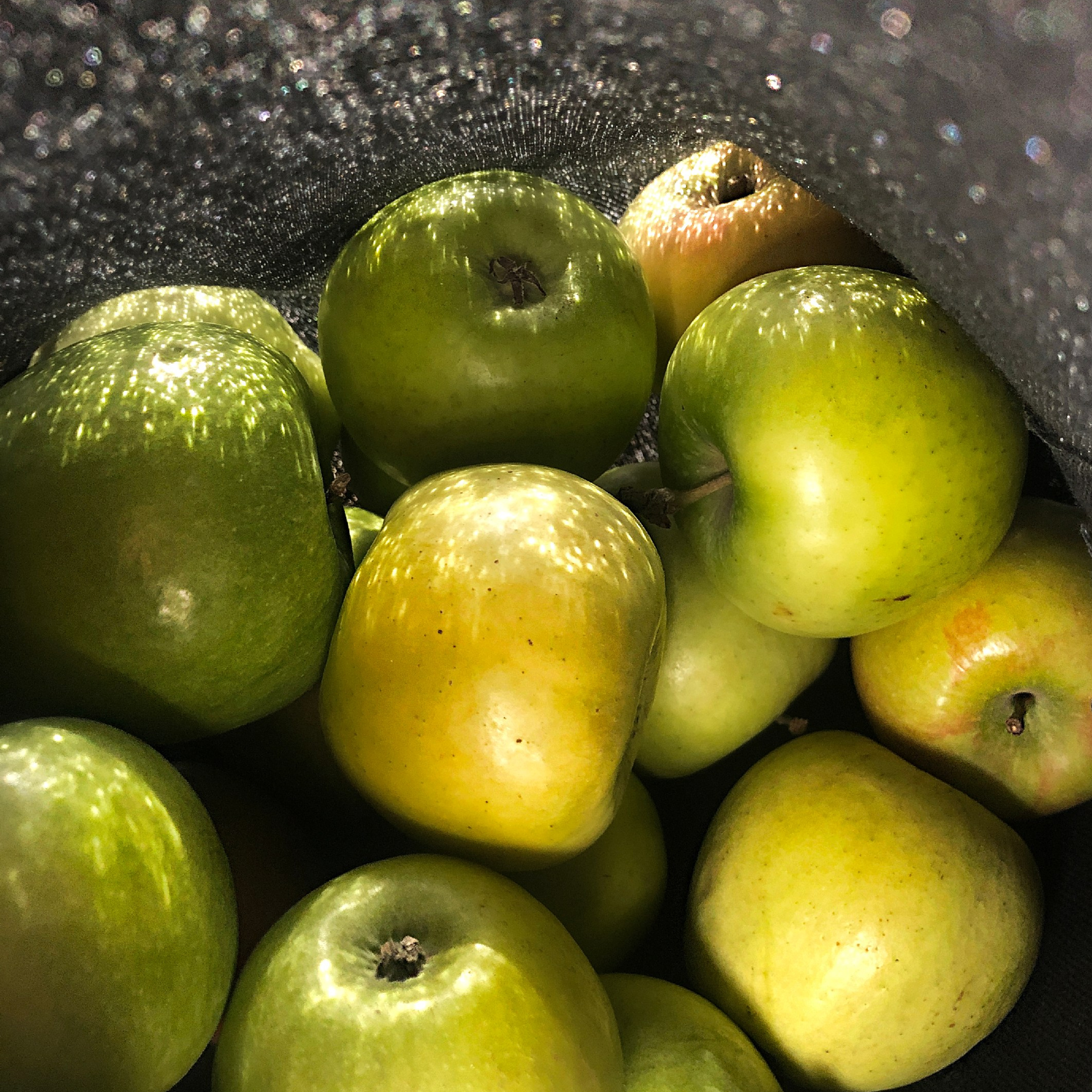 Яблоки / Apples