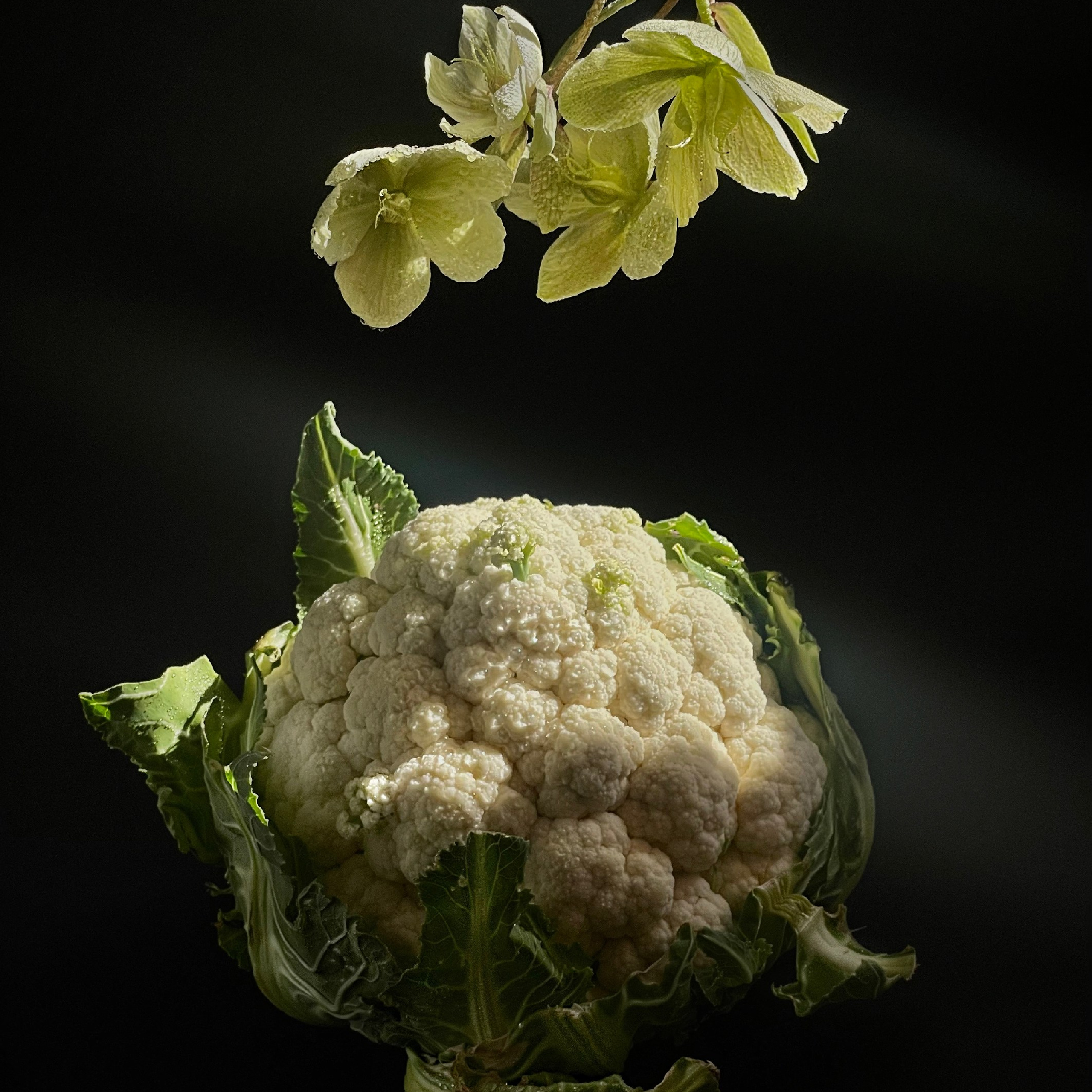 Капуста / Cauliflower