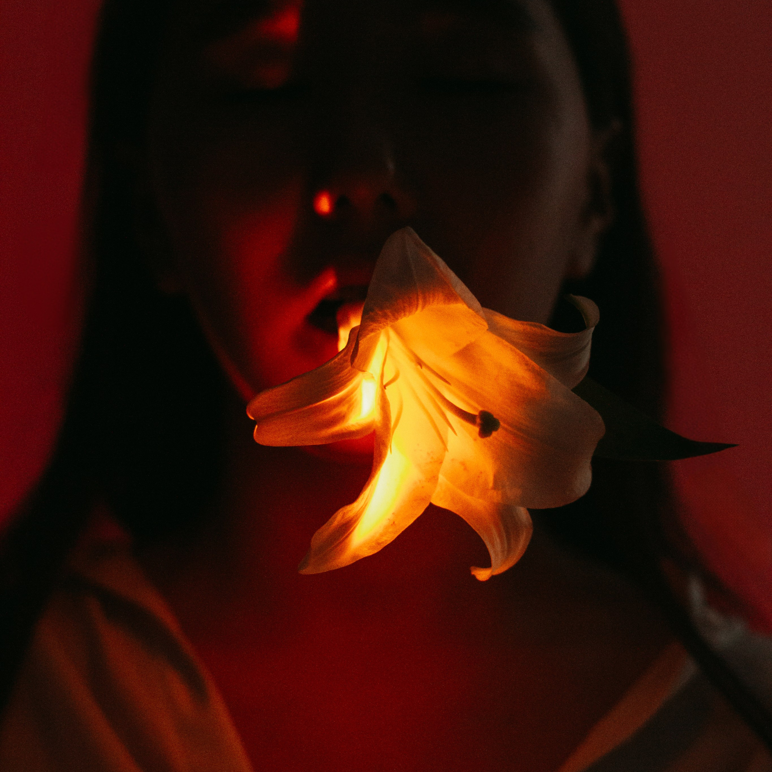 Отзывы. Арина Сафиулина | fashion и art-фотограф