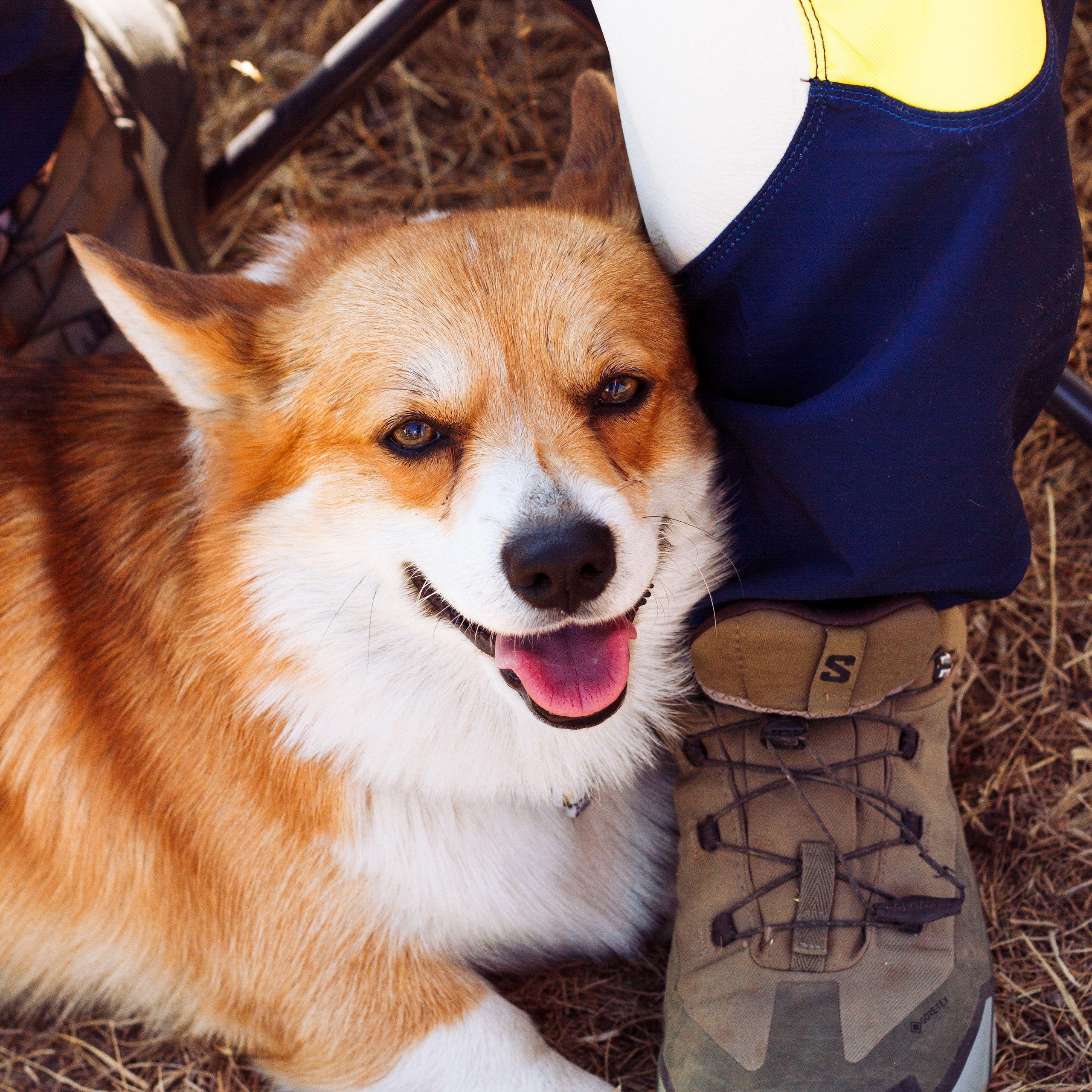 Отзывы. Арина Сафиулина | fashion и art-фотограф