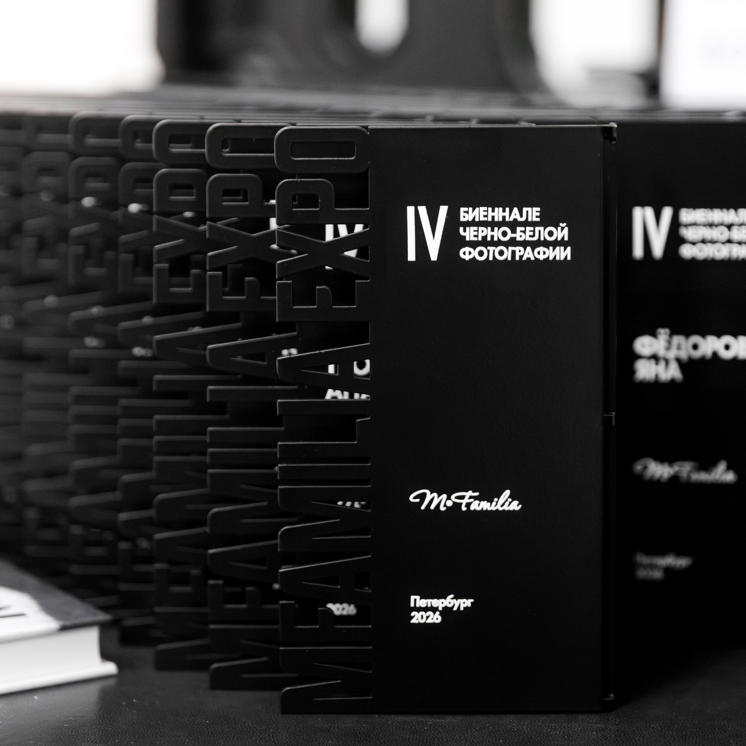 IV биеннале черно-белой фотографии MFamilia в Галерее Центра книги и графики. Организация фотовыставок в Петербурге и Москве, MFamilia (МФамилия)