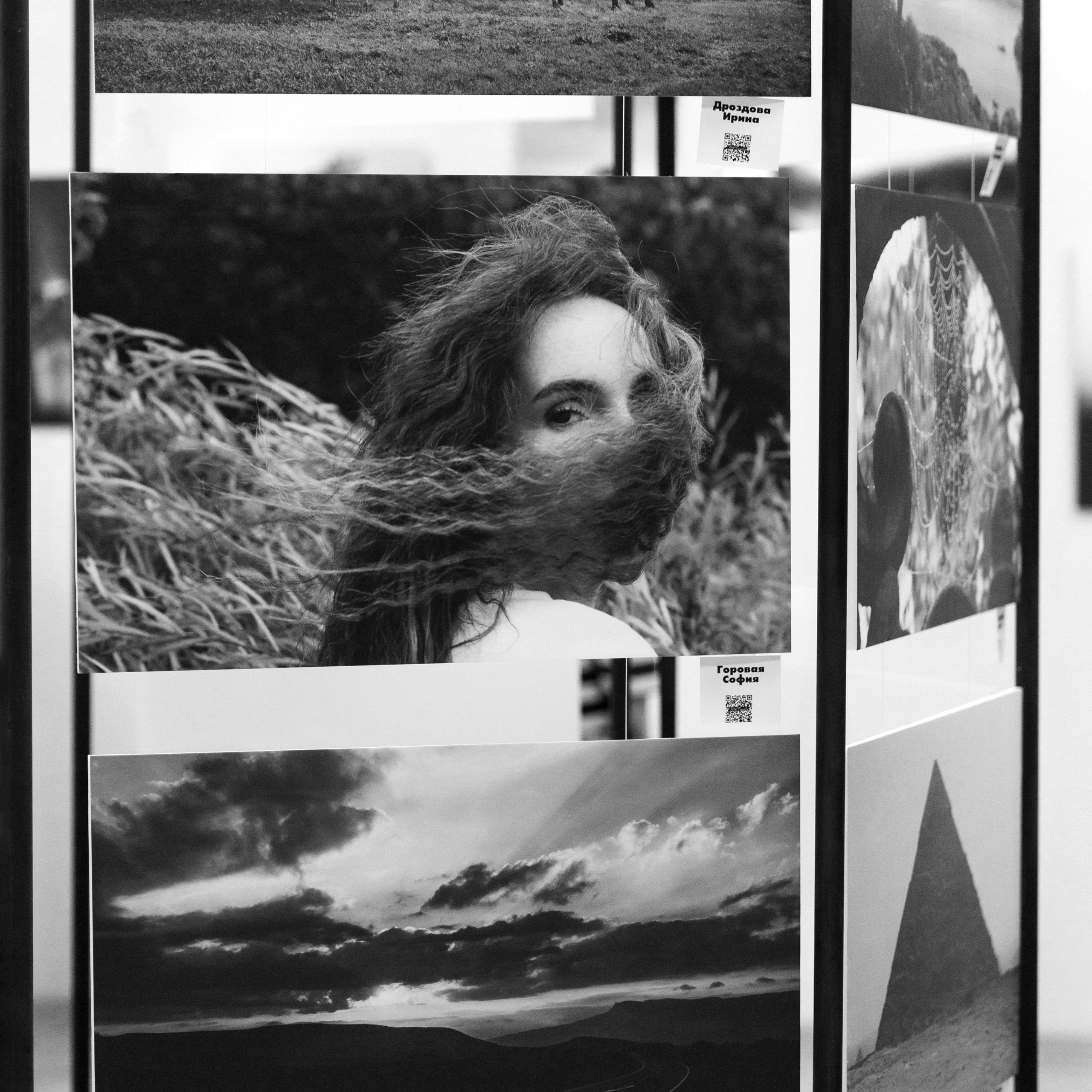 IV биеннале черно-белой фотографии MFamilia в Галерее Центра книги и графики. Организация фотовыставок в Петербурге и Москве, MFamilia (МФамилия)