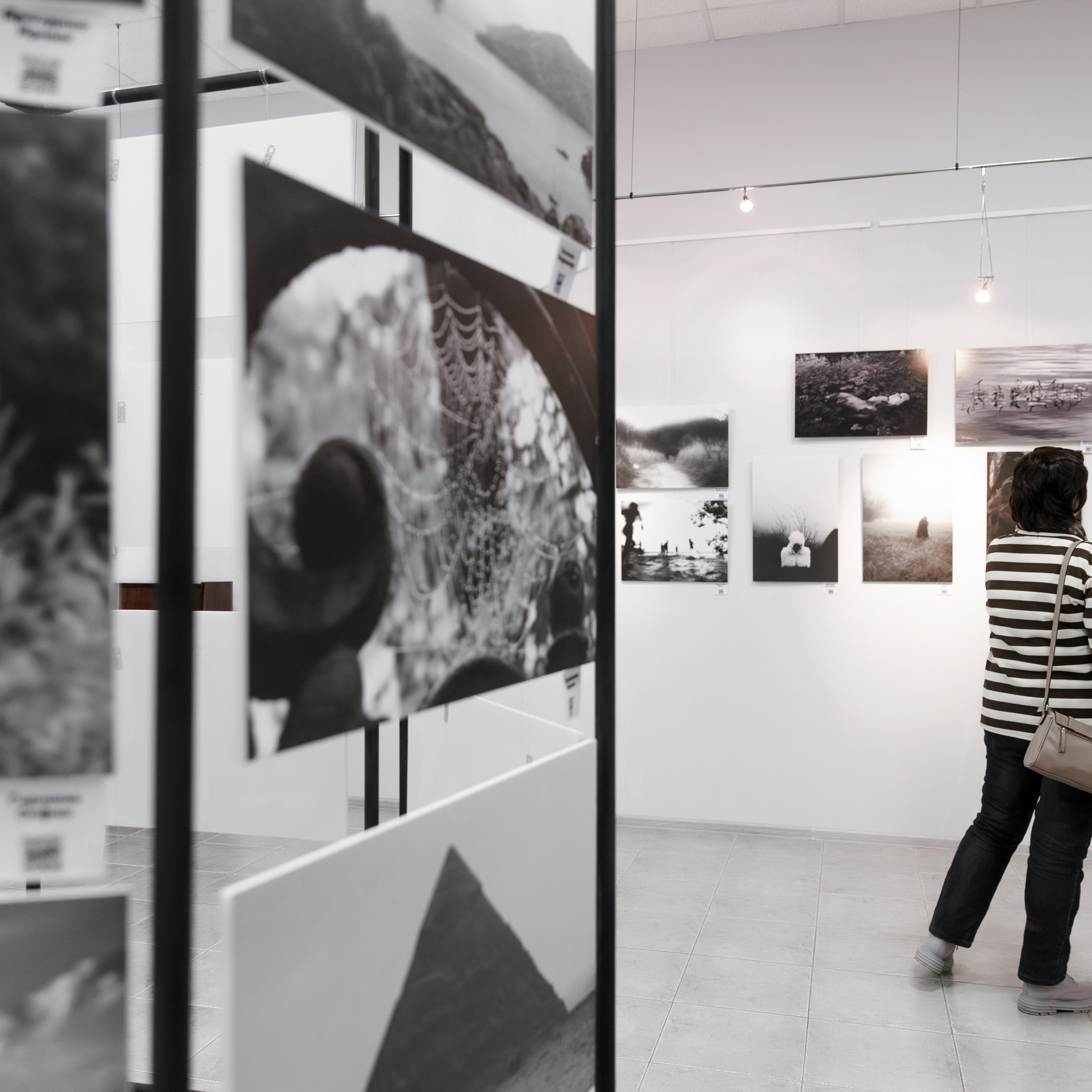IV биеннале черно-белой фотографии MFamilia в Галерее Центра книги и графики. Организация фотовыставок в Петербурге и Москве, MFamilia (МФамилия)