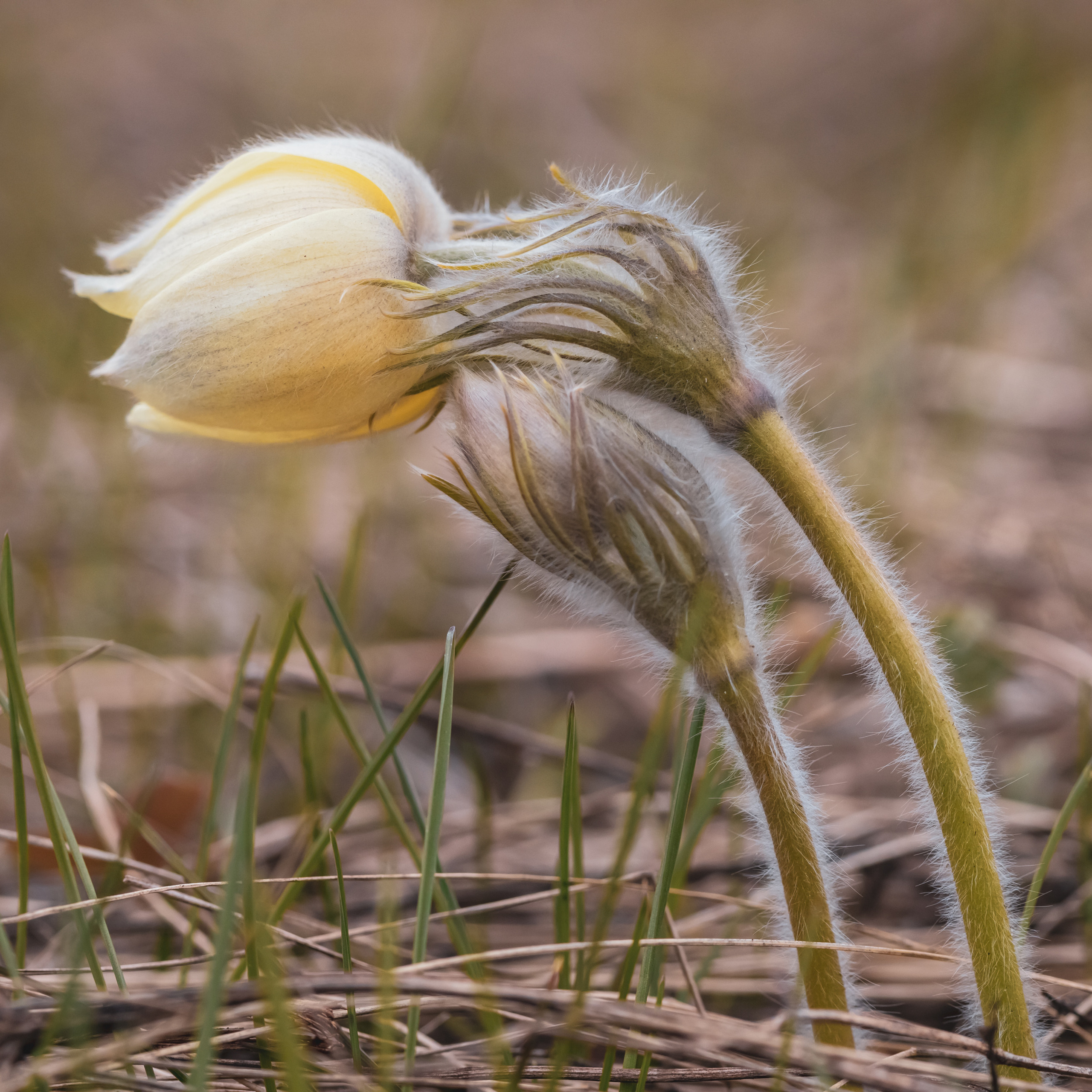 Отзывы. Фотограф в Красноярске Оксана Корчагина