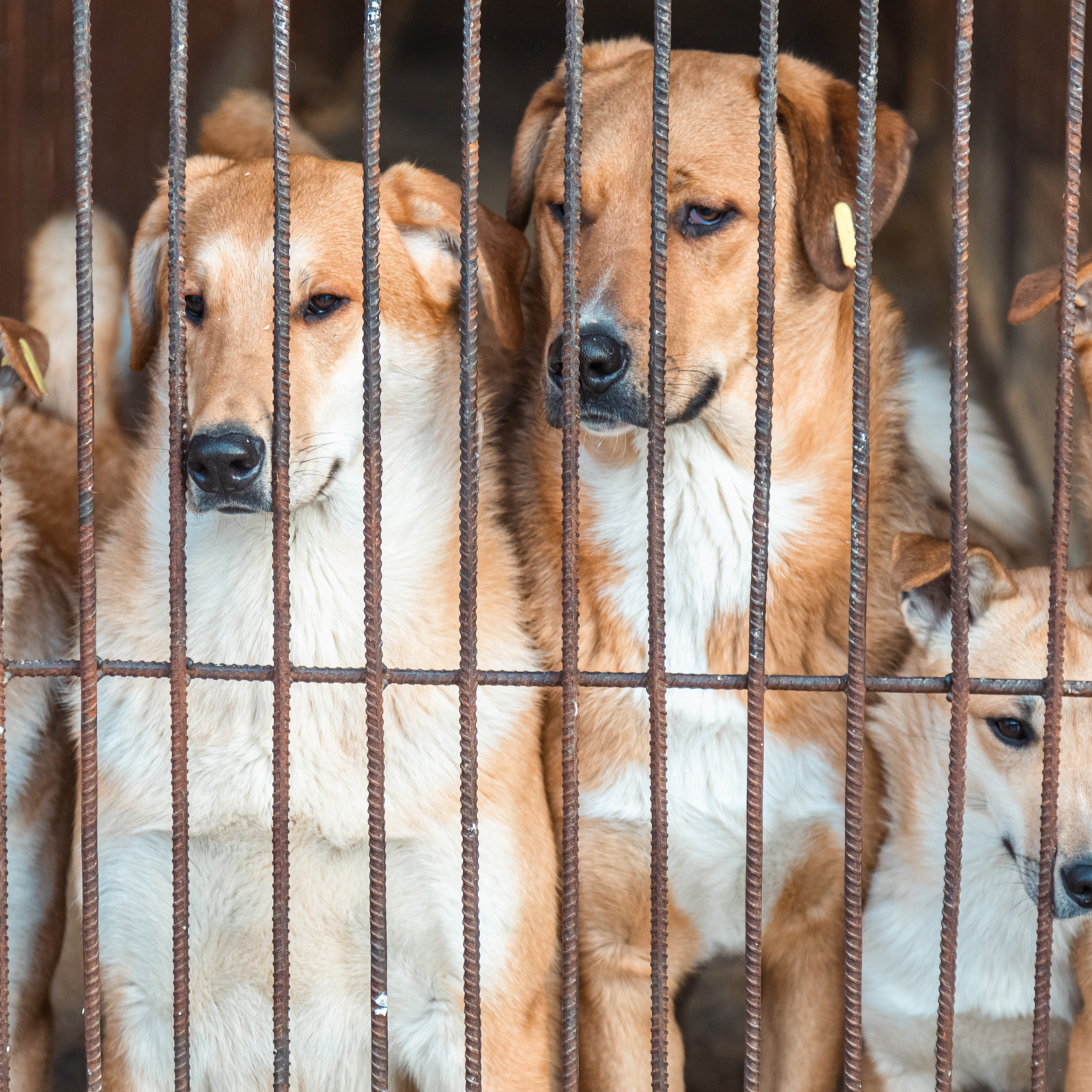 Отзывы. Фотограф в Красноярске Оксана Корчагина