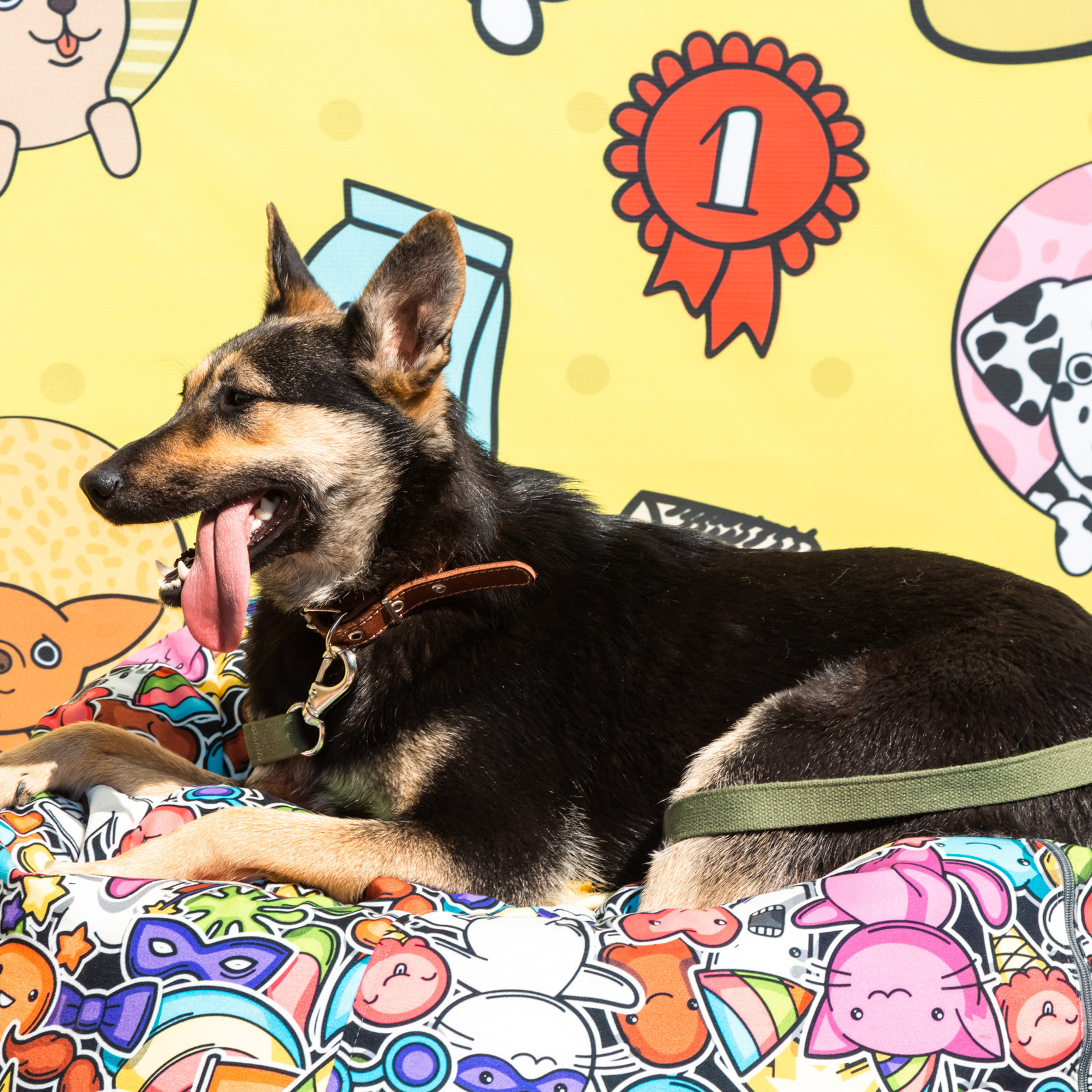 Отзывы. Фотограф в Красноярске Оксана Корчагина