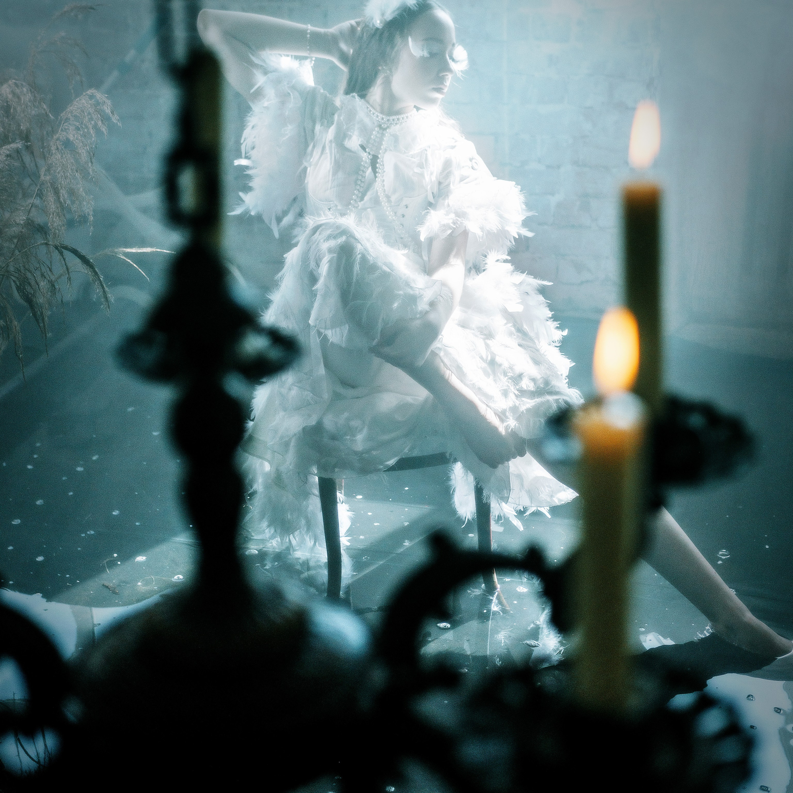 Лебединая песнь 