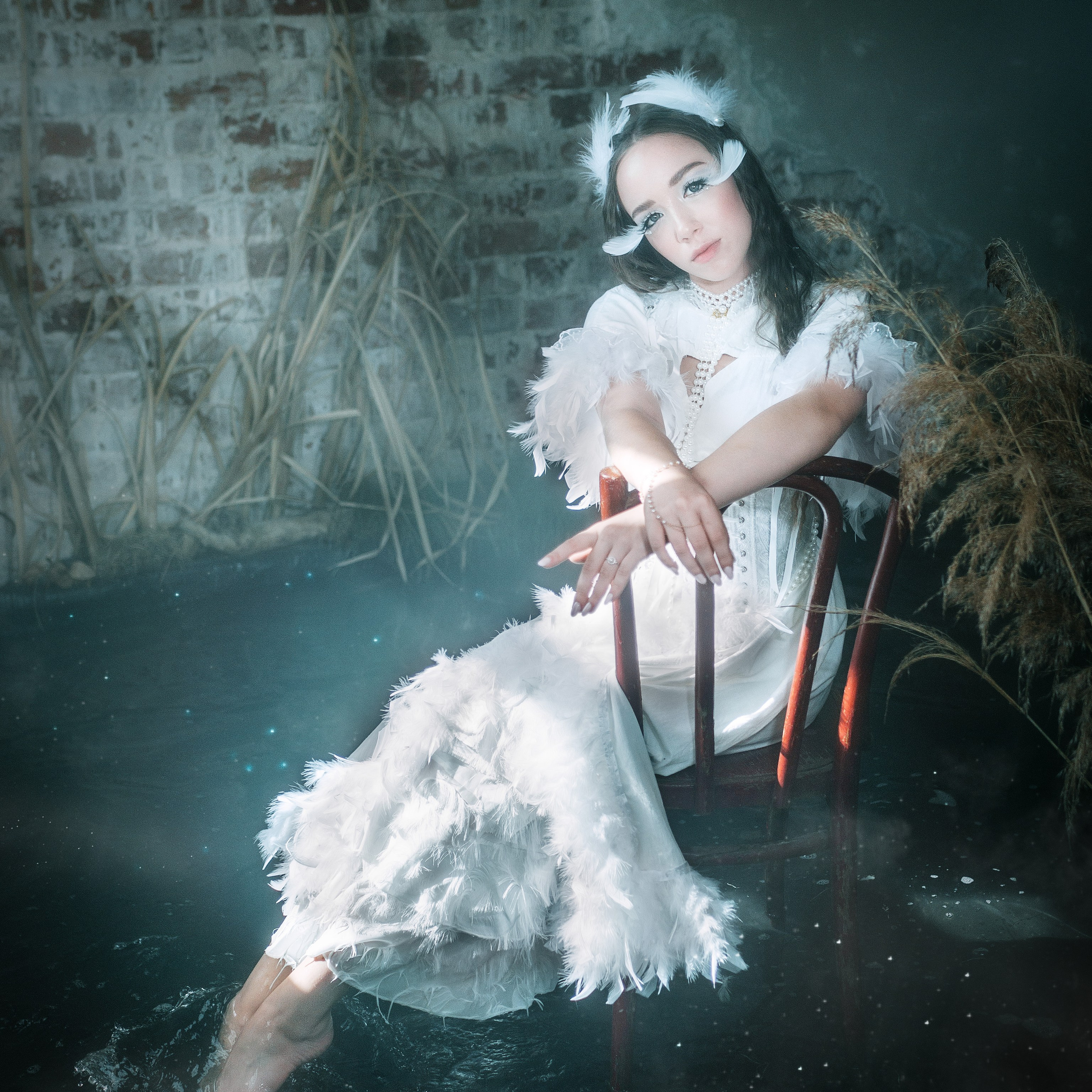 Лебединая песнь 