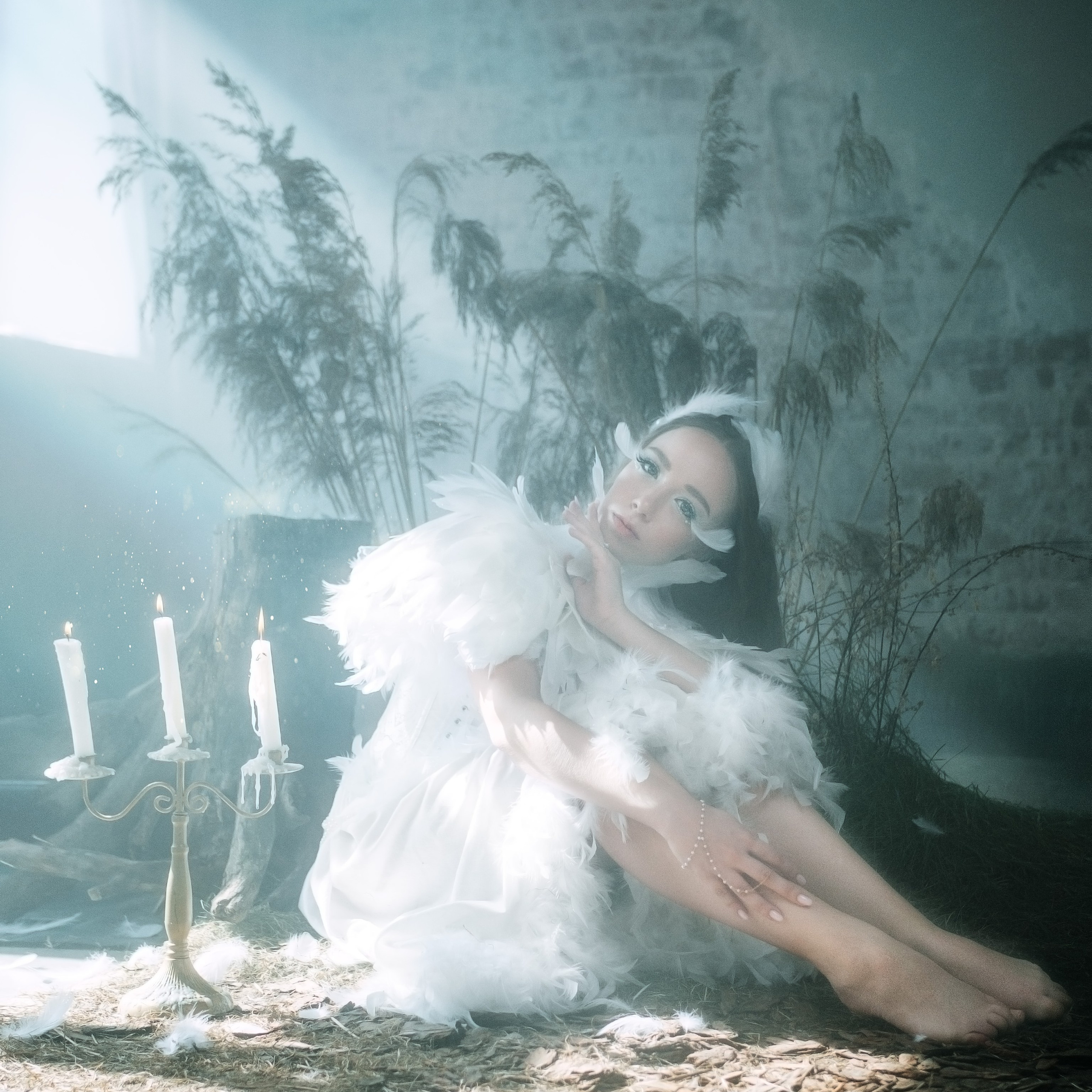 Лебединая песнь 