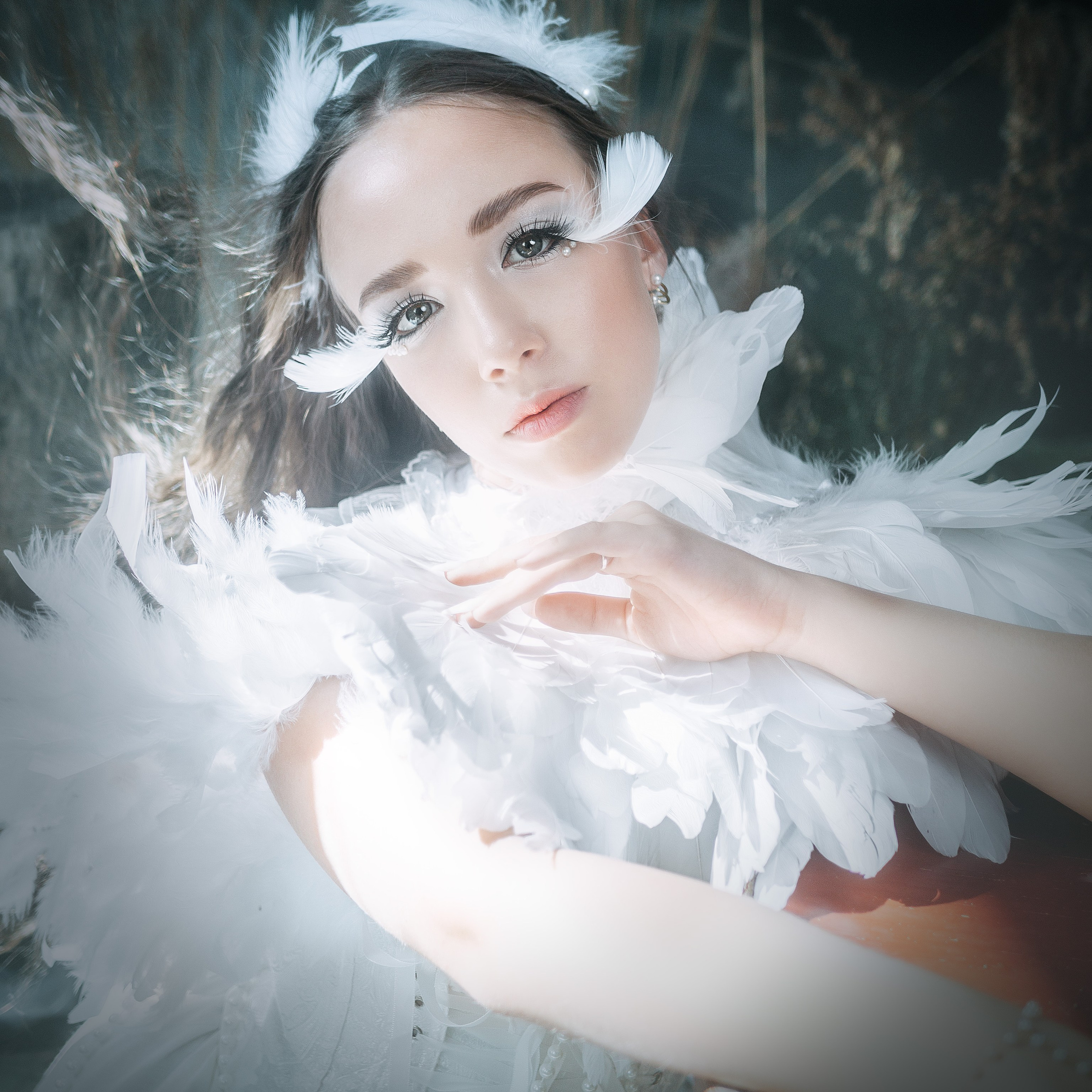 Лебединая песнь 