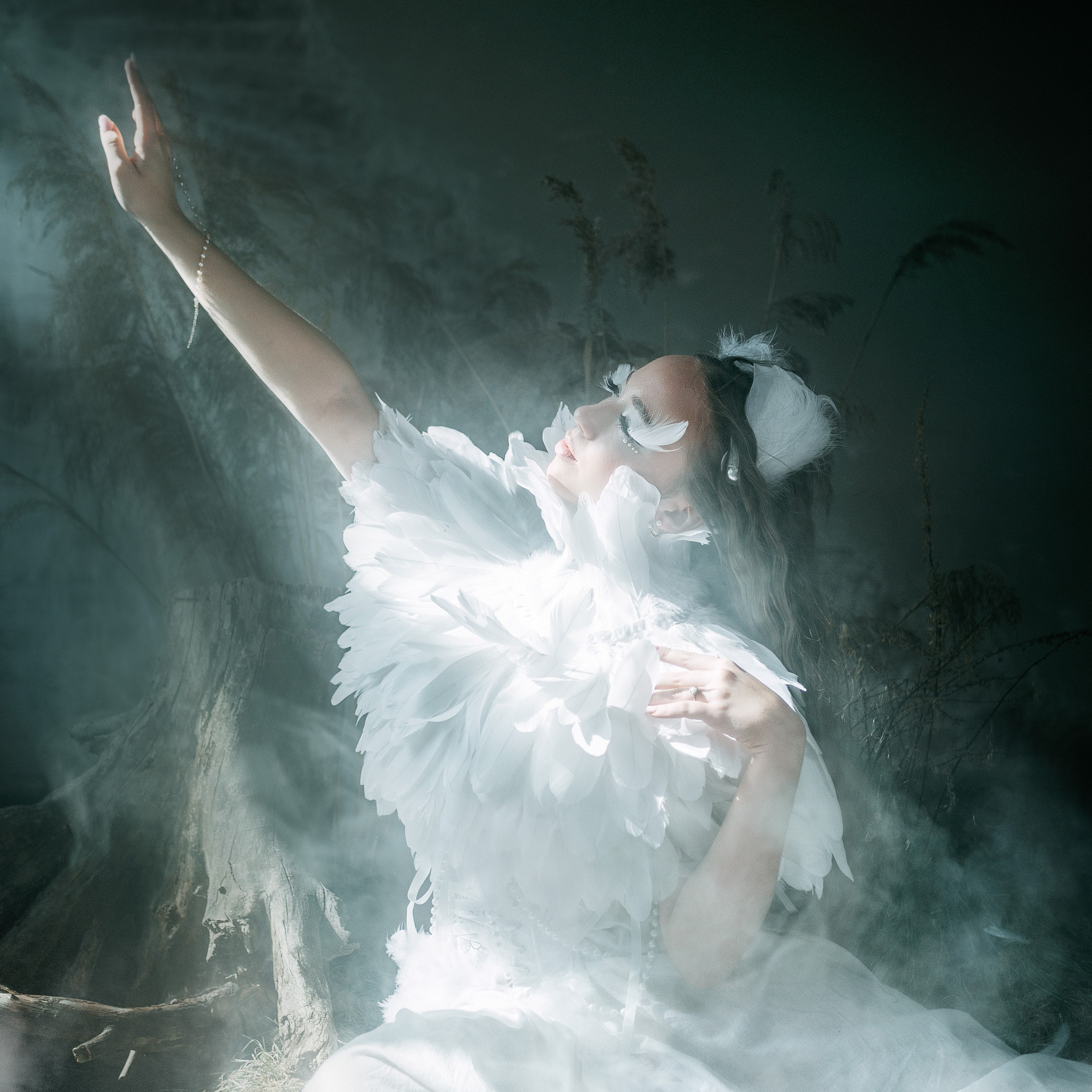 Лебединая песнь 