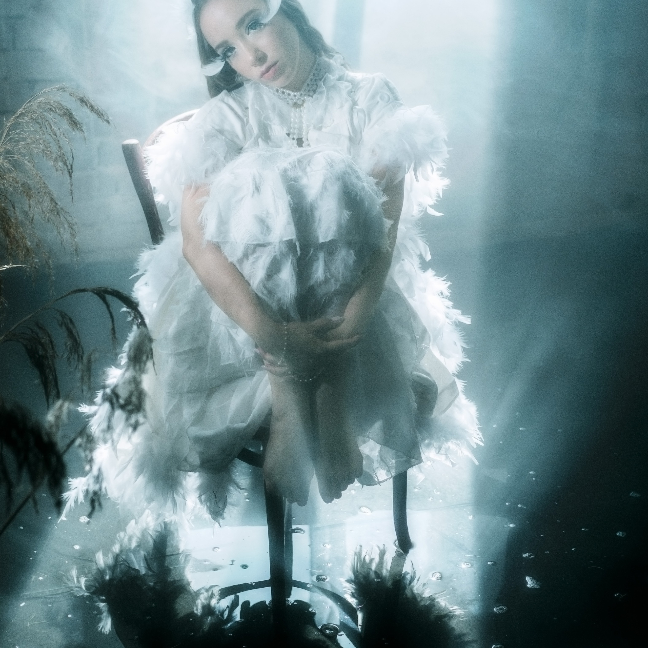 Лебединая песнь 