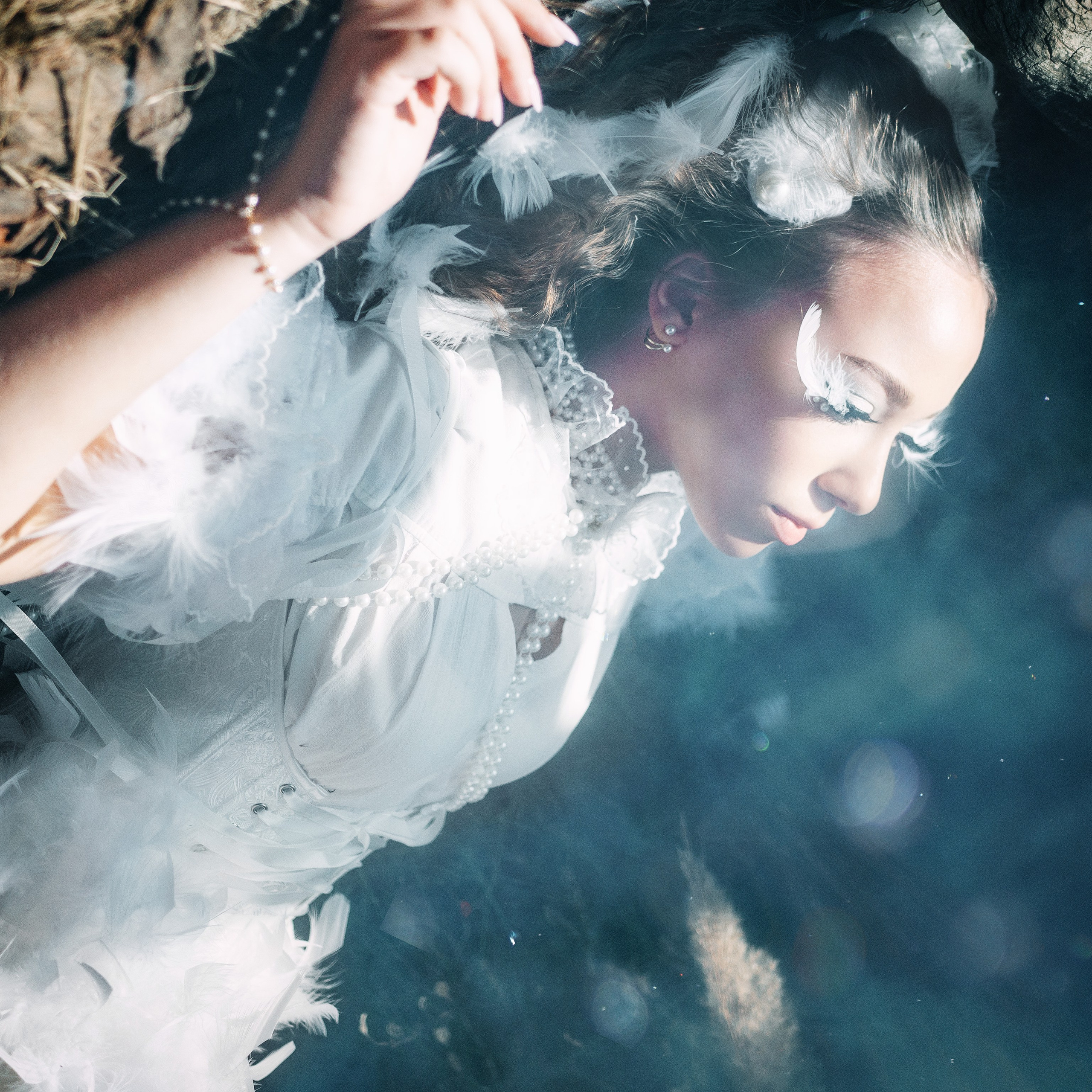 Лебединая песнь 