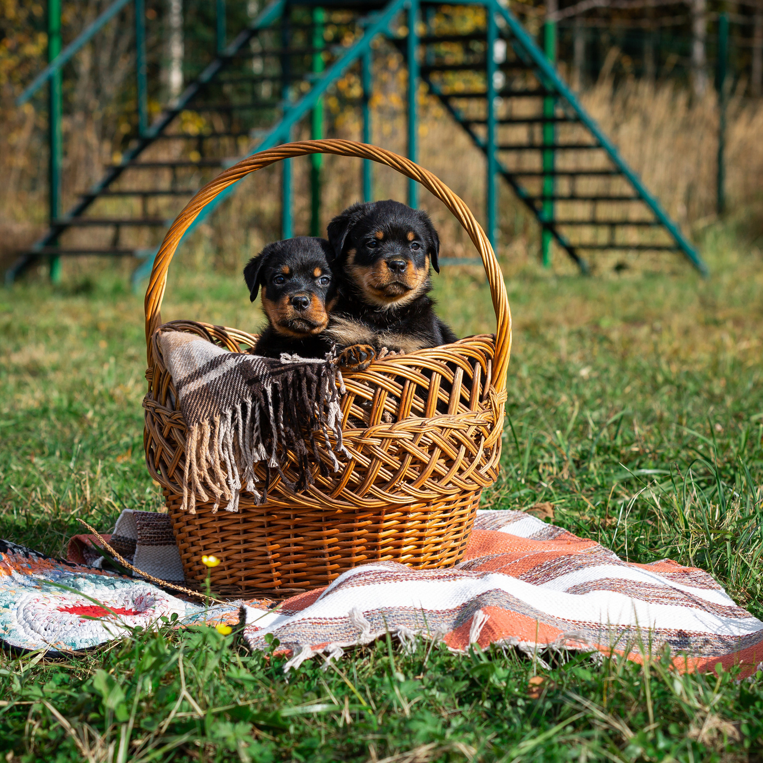 Клиенты пишут обо мне. Алёна Мелихова | Фотограф Тверь, Старица, Ржев