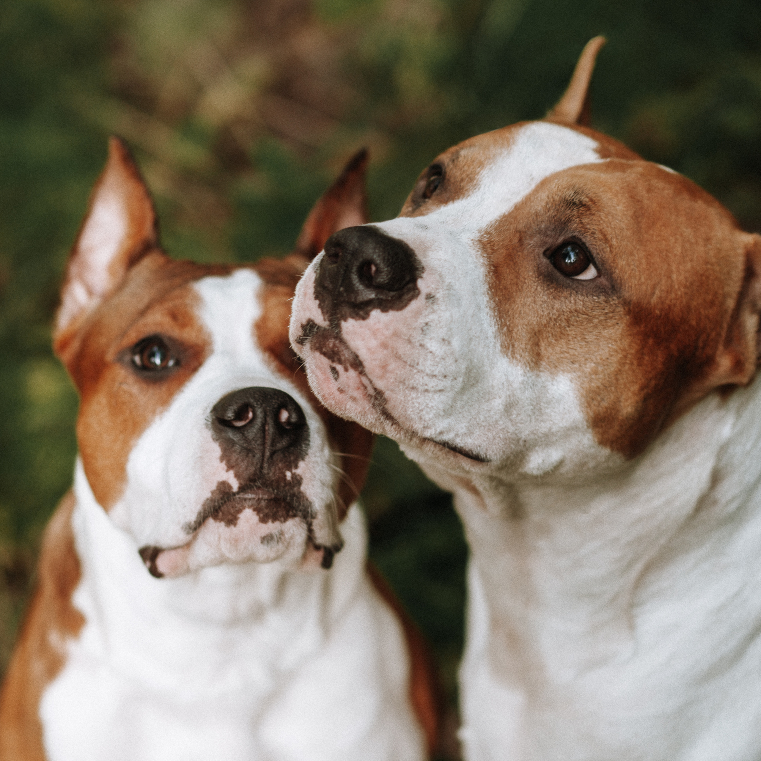 Отзывы. Фотограф в Архангельске Татьяна Дмитриева